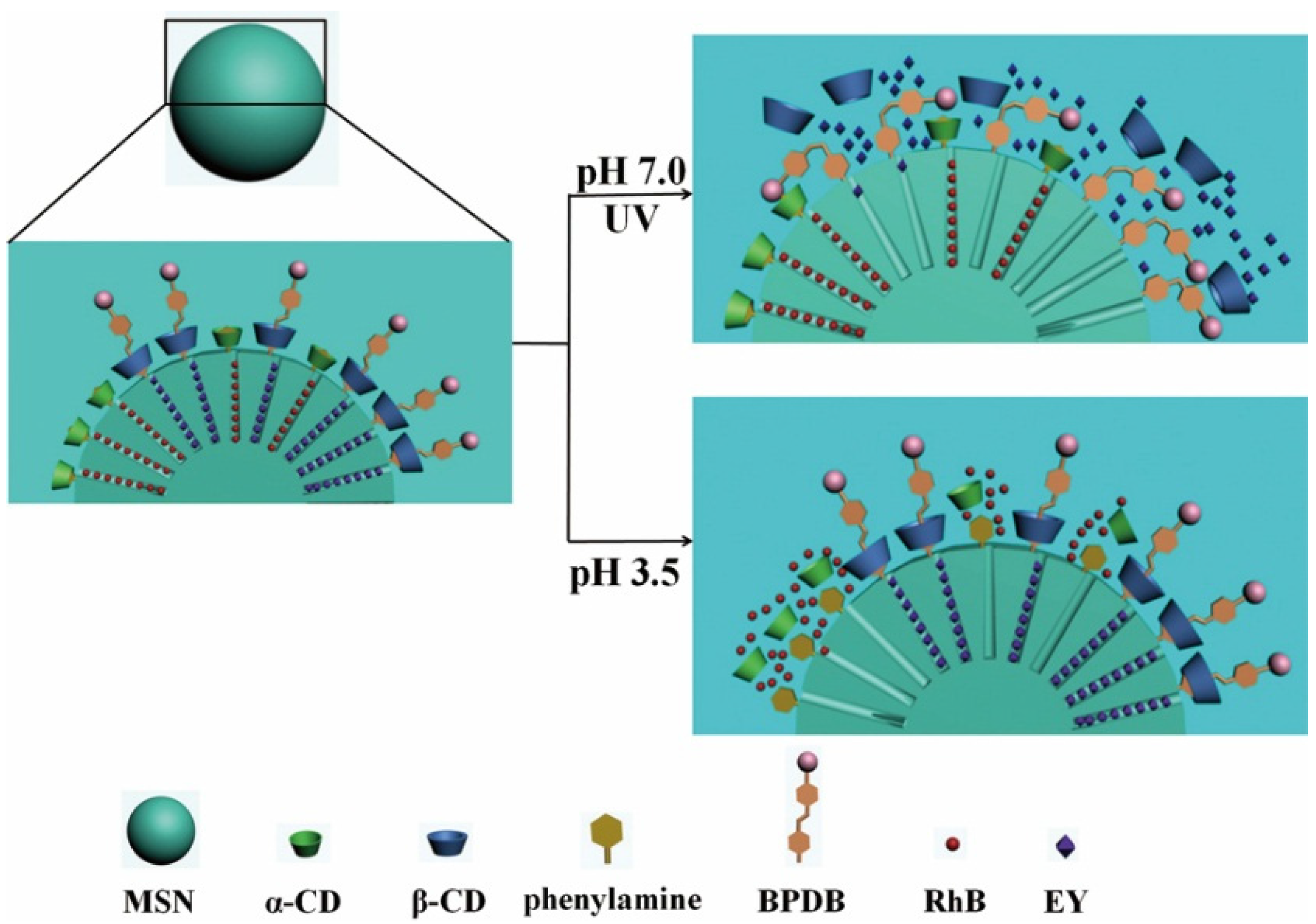 Nanomaterials 05 02019 g010