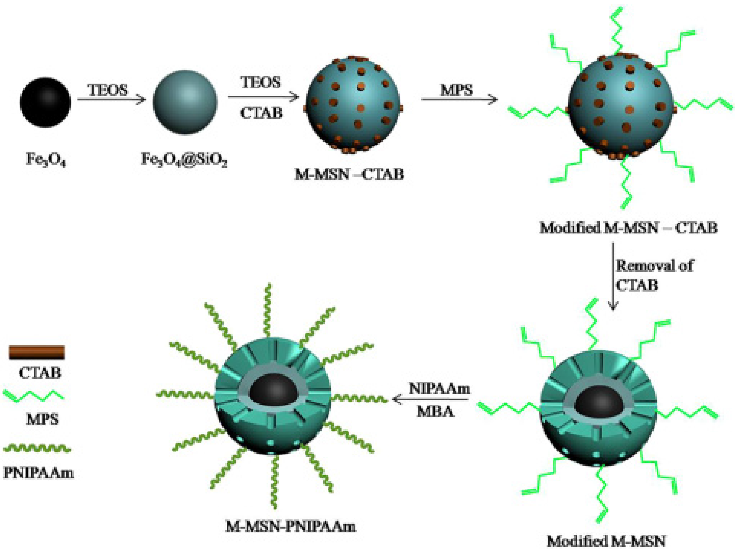 Nanomaterials 05 02019 g012