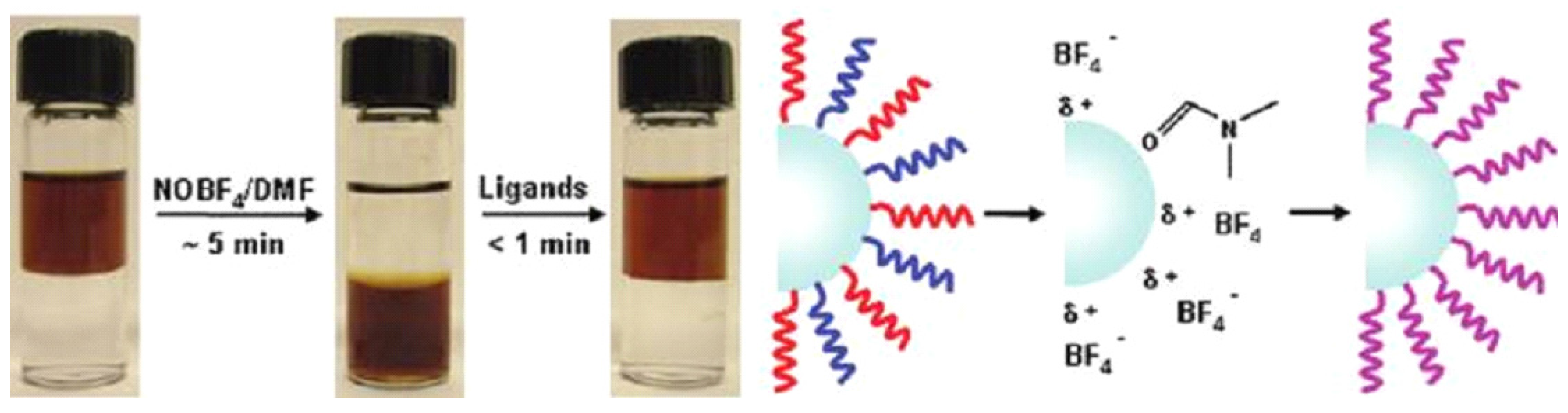 Nanomaterials 05 02148 g008