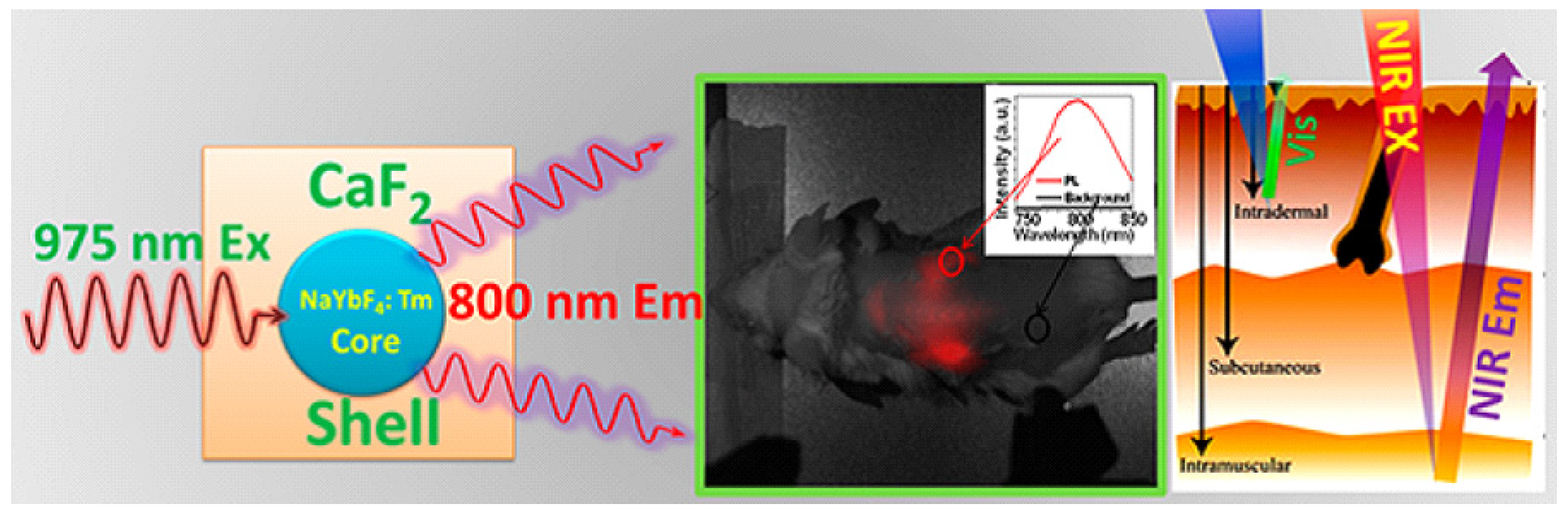 Nanomaterials 05 02148 g010