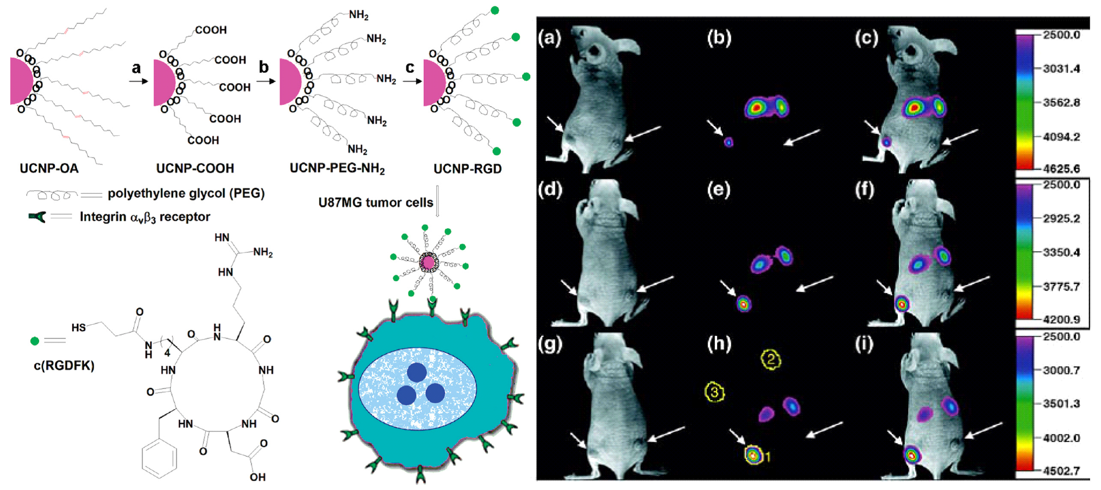 Nanomaterials 05 02148 g011