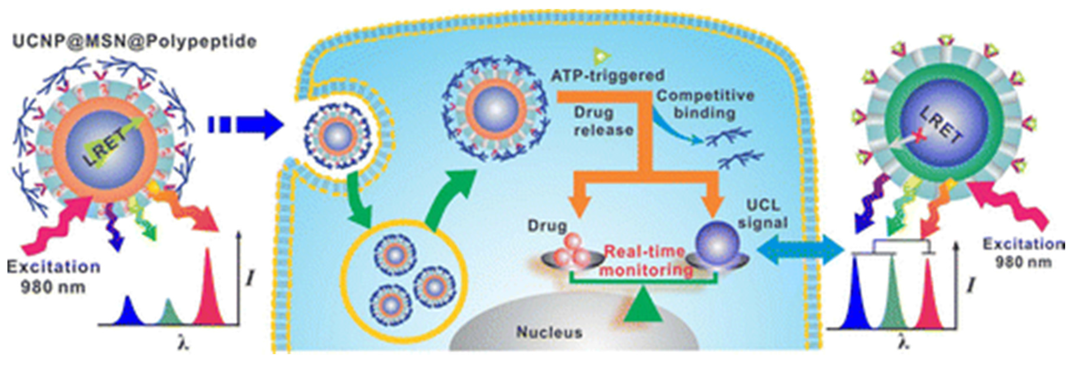 Nanomaterials 05 02148 g013