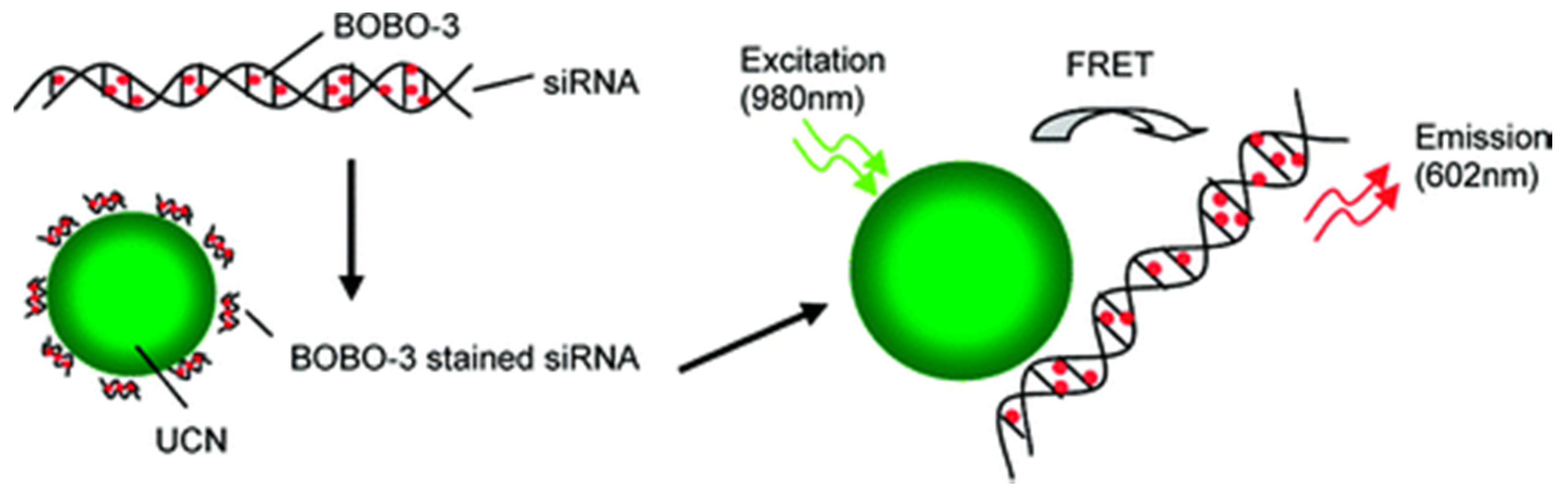 Nanomaterials 05 02148 g014