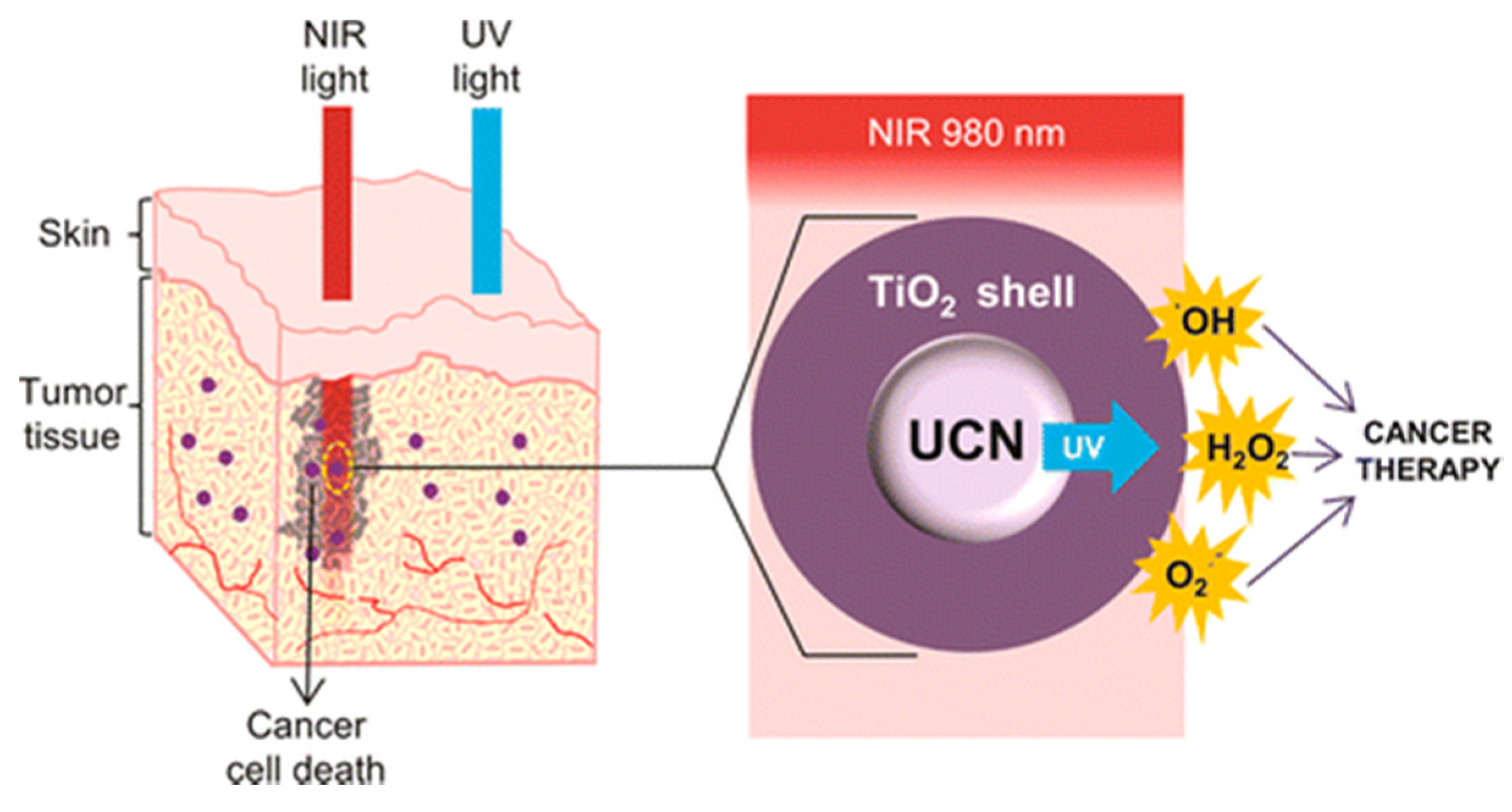 Nanomaterials 05 02148 g016