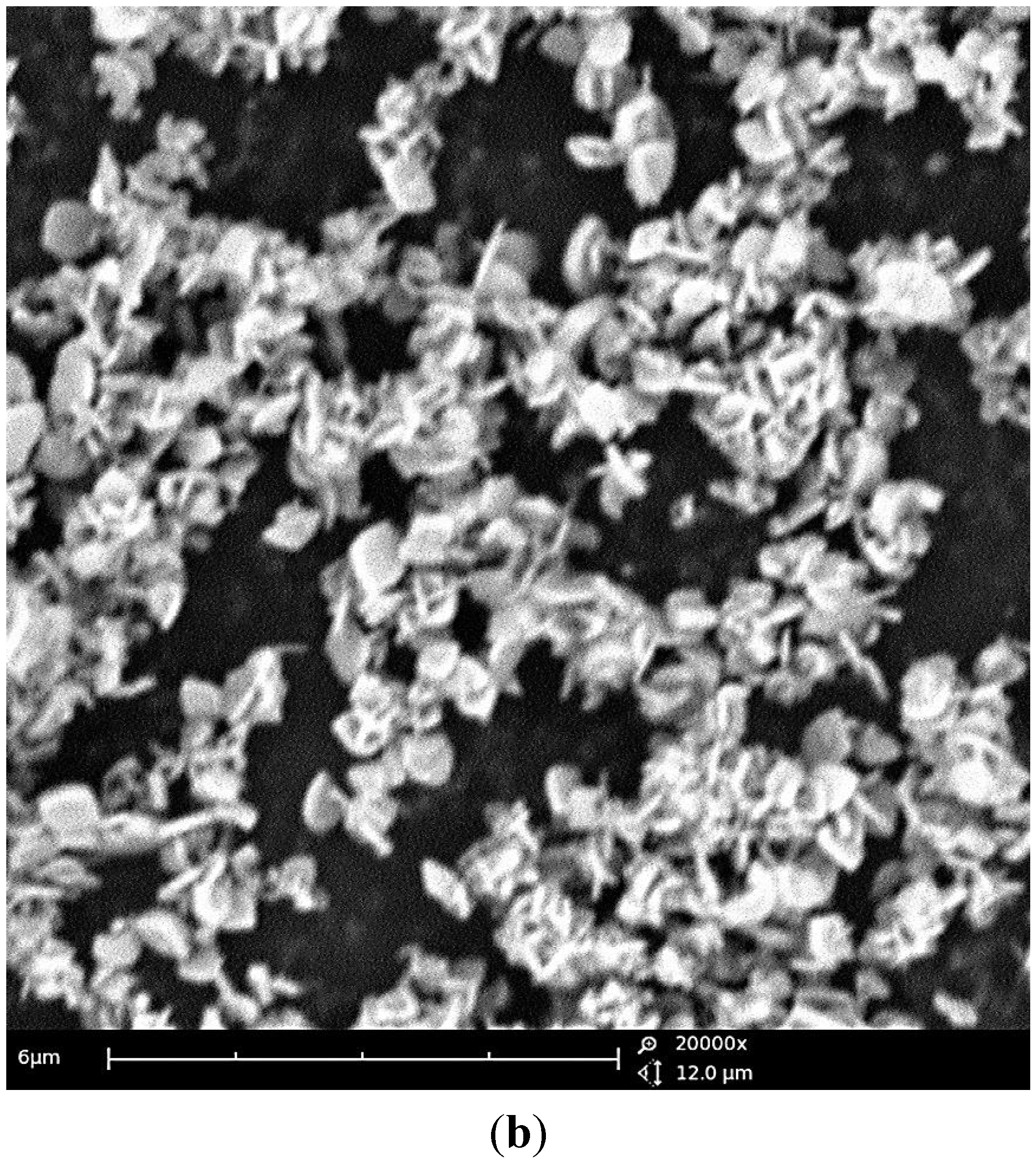 Nanomaterials 05 02212 g005b 1024