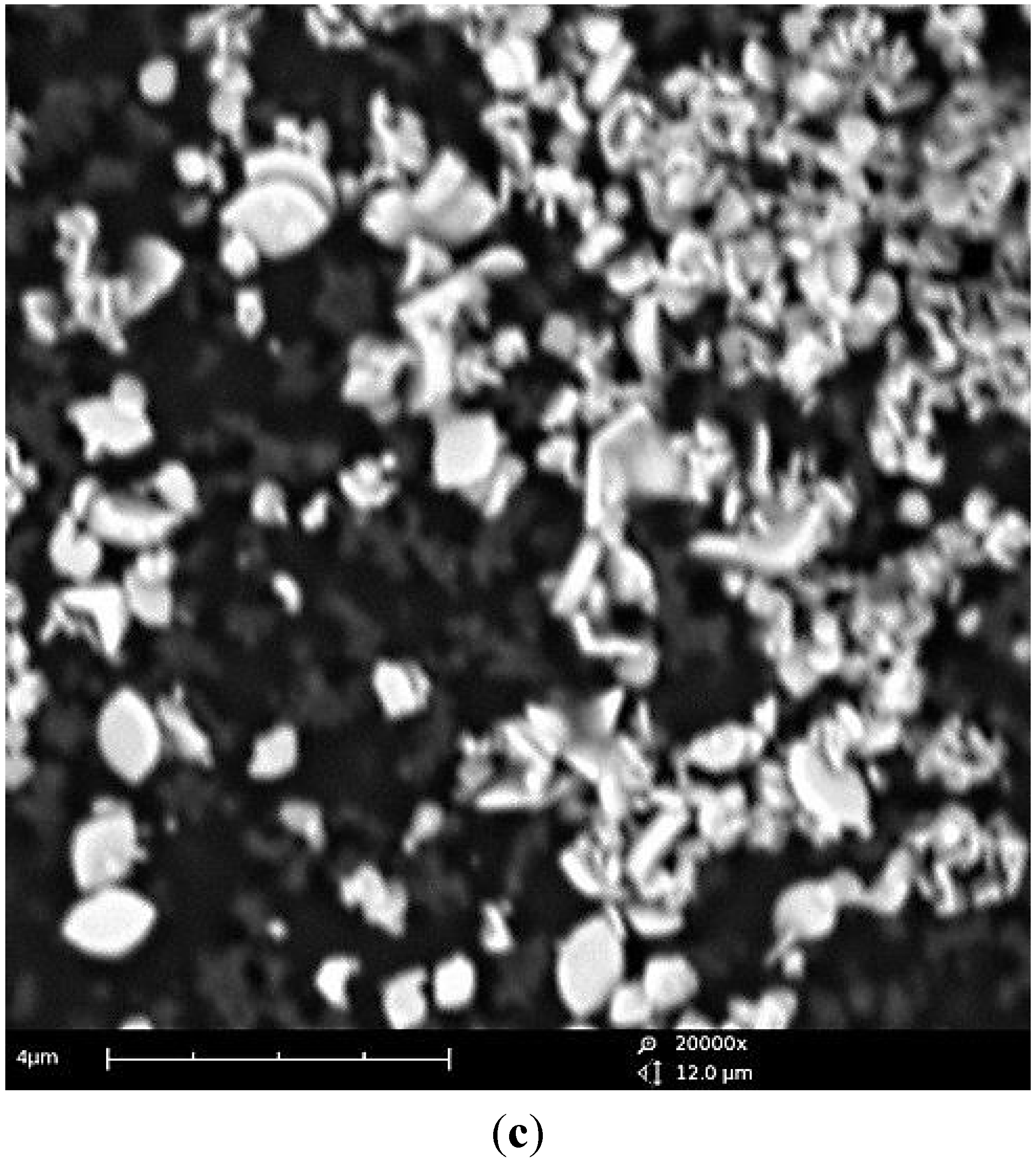 Nanomaterials 05 02212 g007b 1024