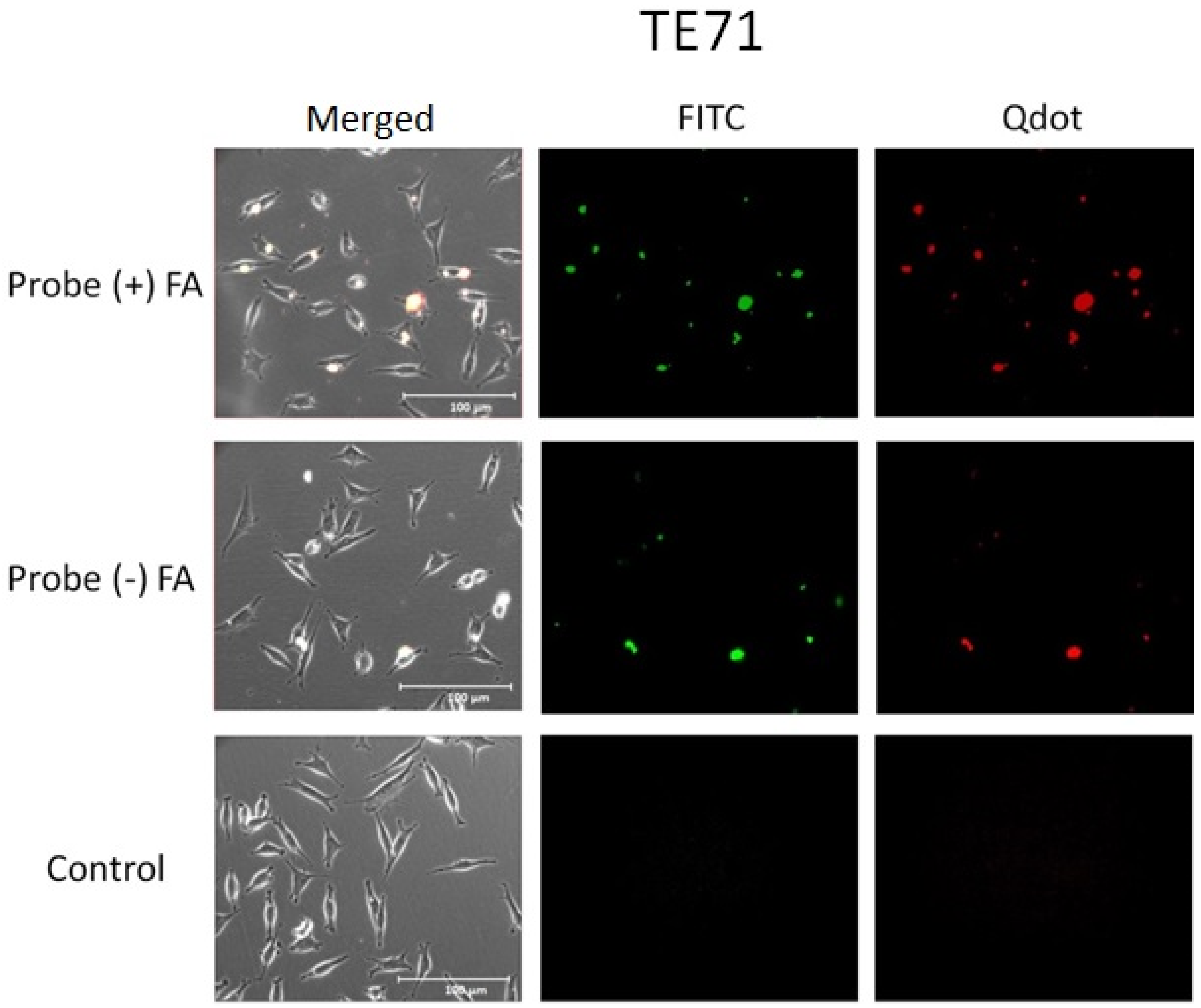 Nanomaterials 05 02359 g006