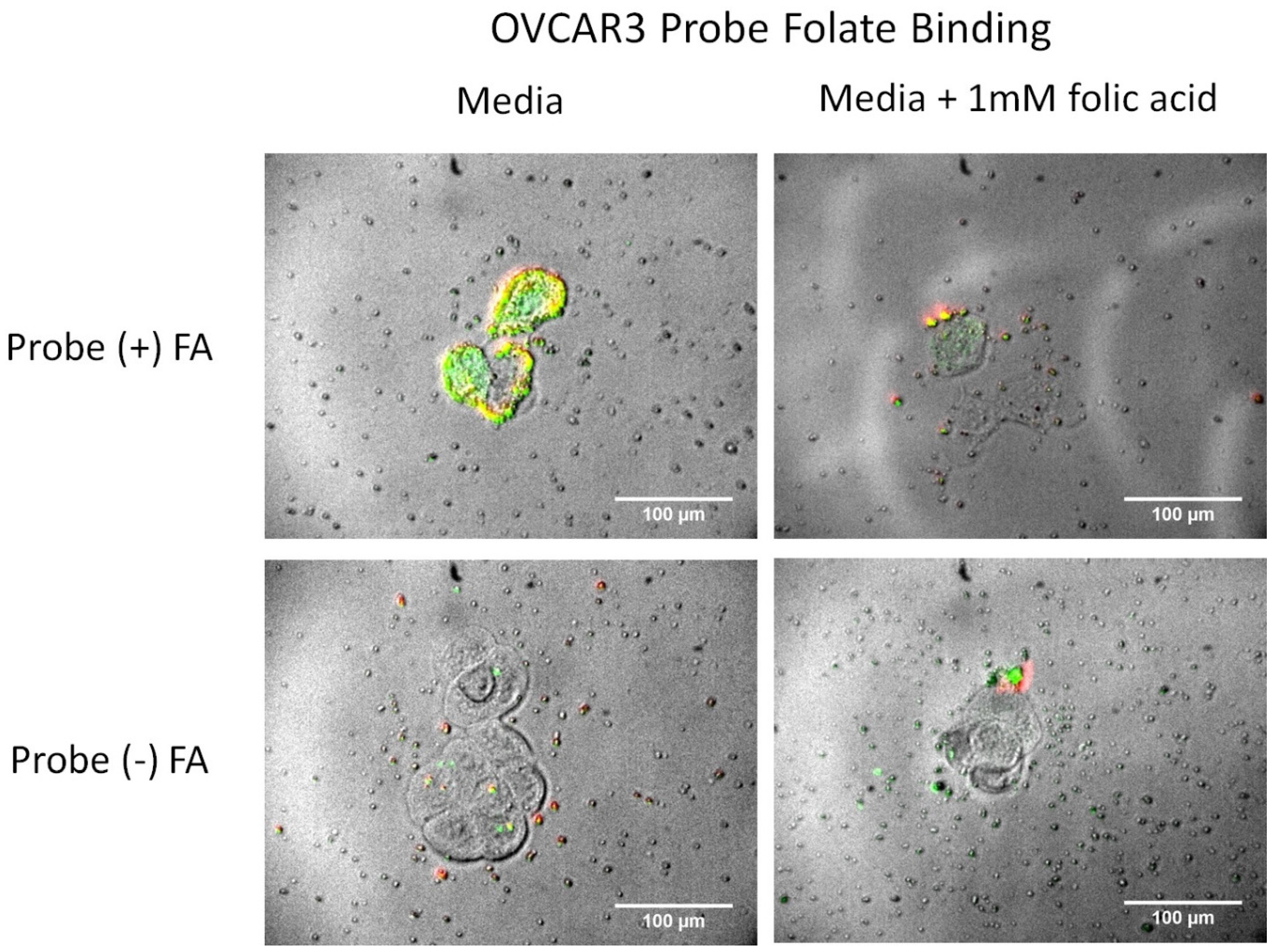 Nanomaterials 05 02359 g008