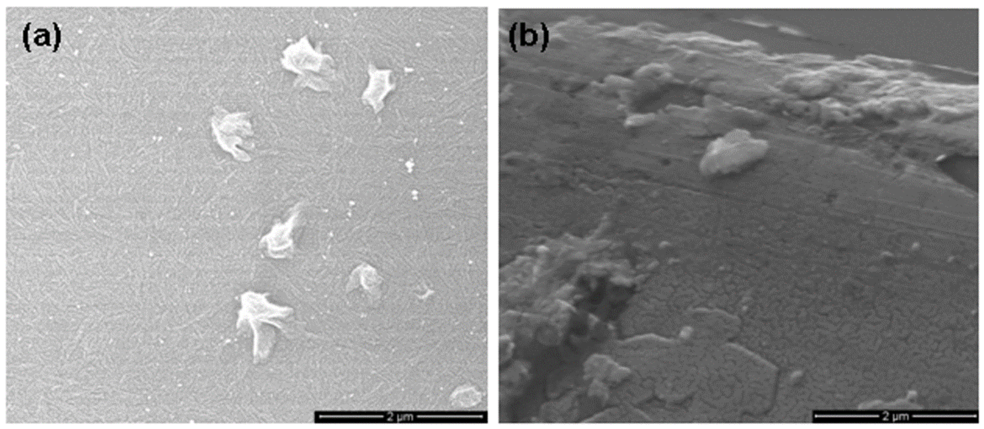Nanomaterials 06 00004 g006