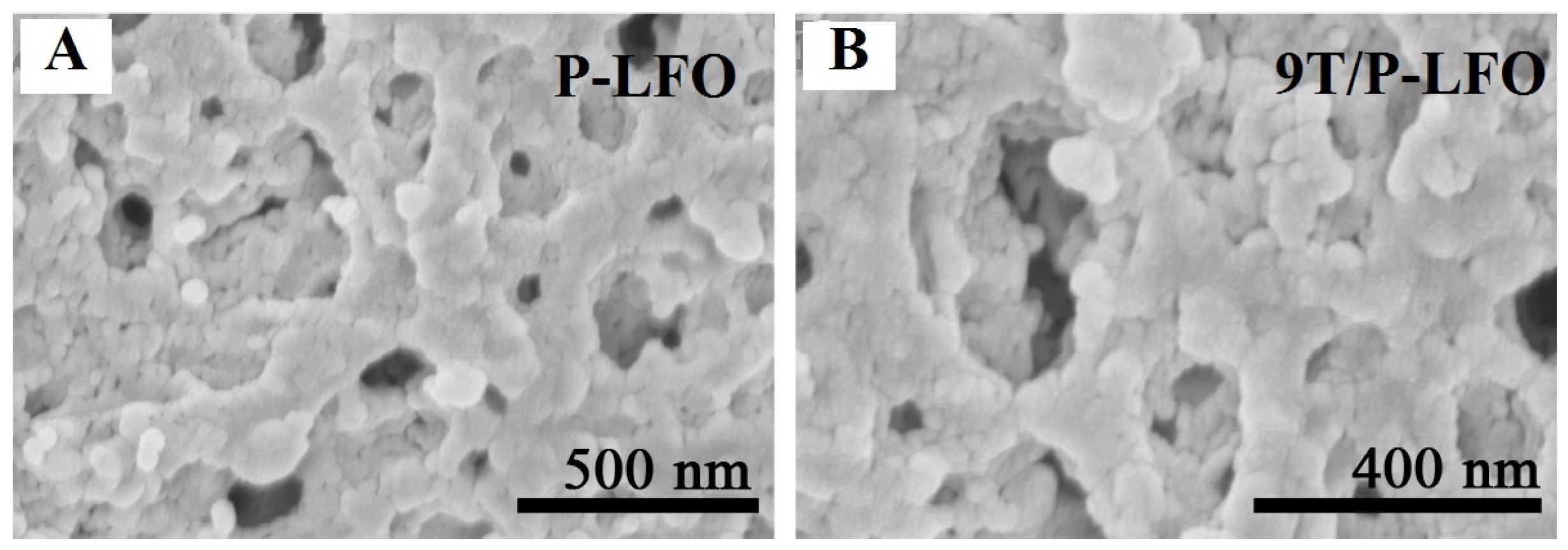 Nanomaterials 06 00022 g002