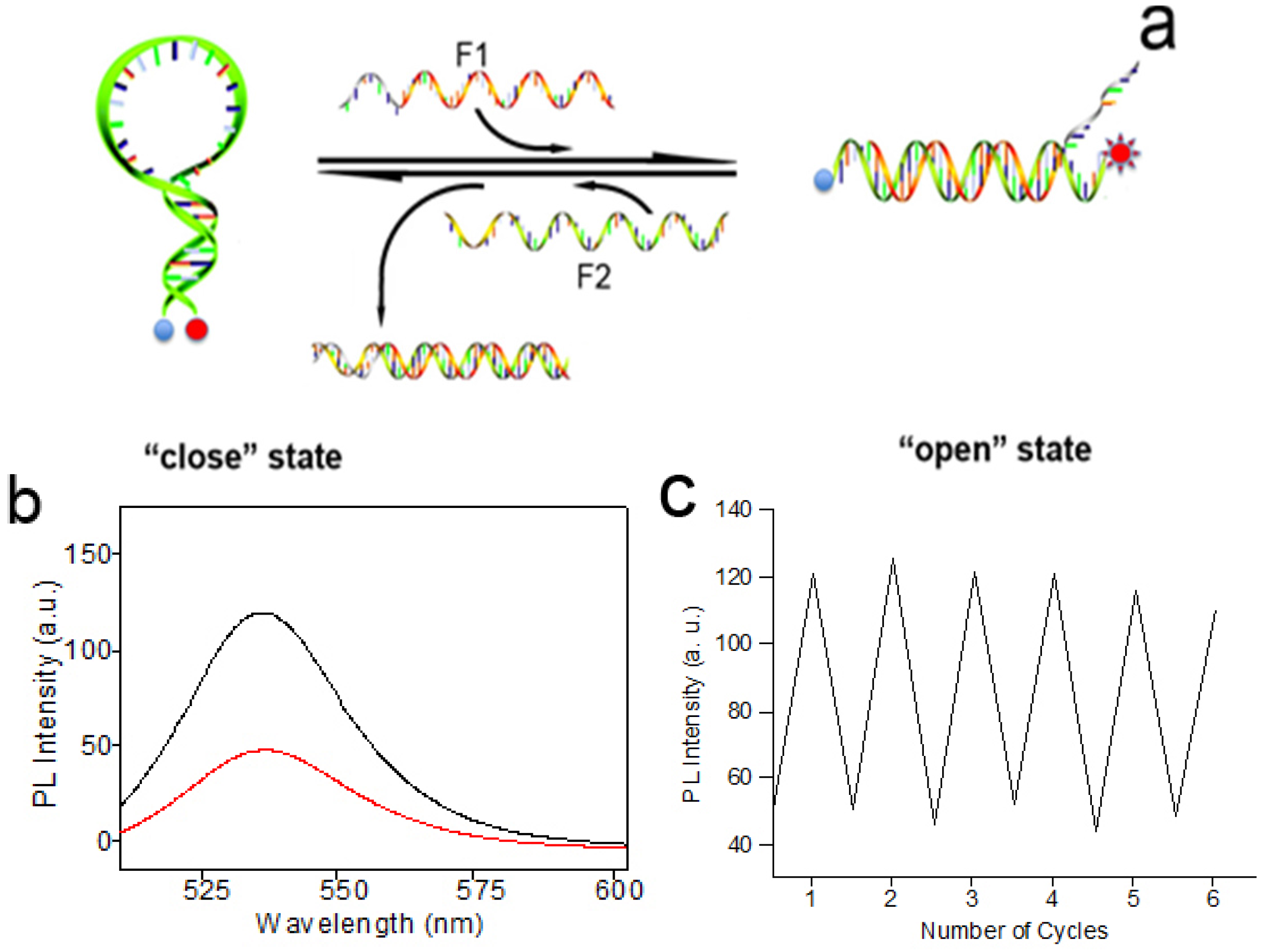 Nanomaterials 06 00024 g004