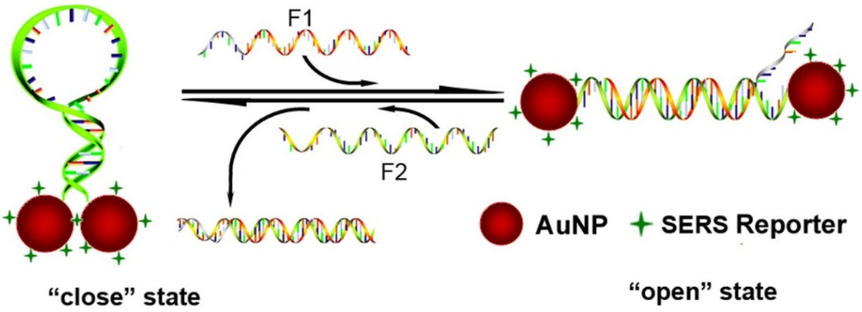 Nanomaterials 06 00024 g005