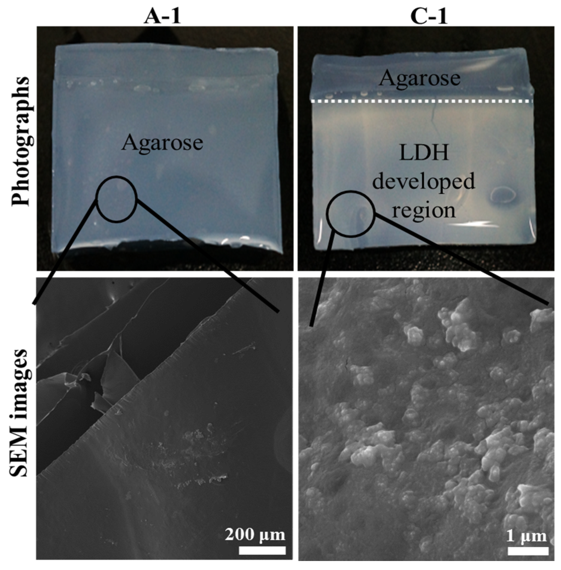 Nanomaterials 06 00025 g001 1024