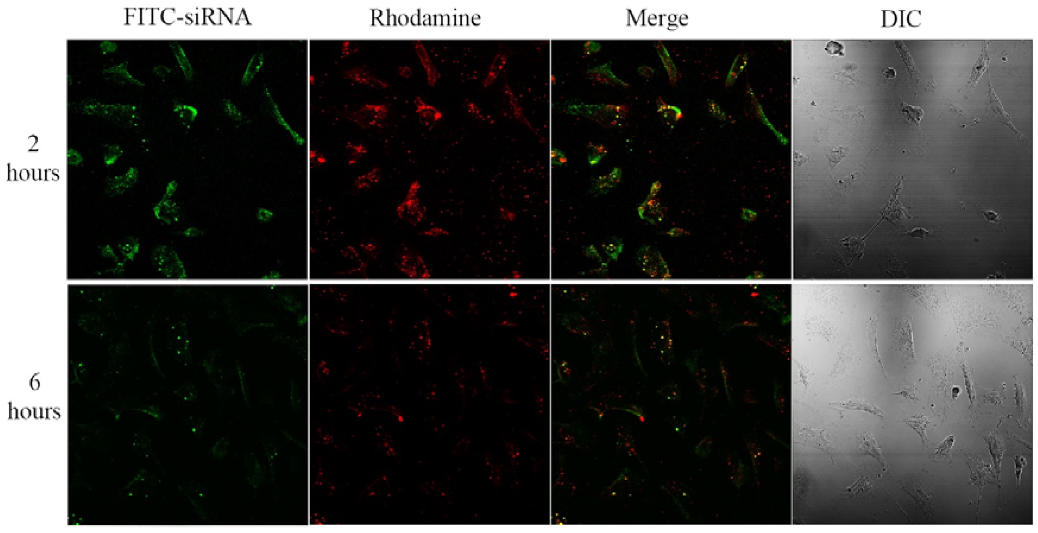 Nanomaterials 06 00034 g003 1024