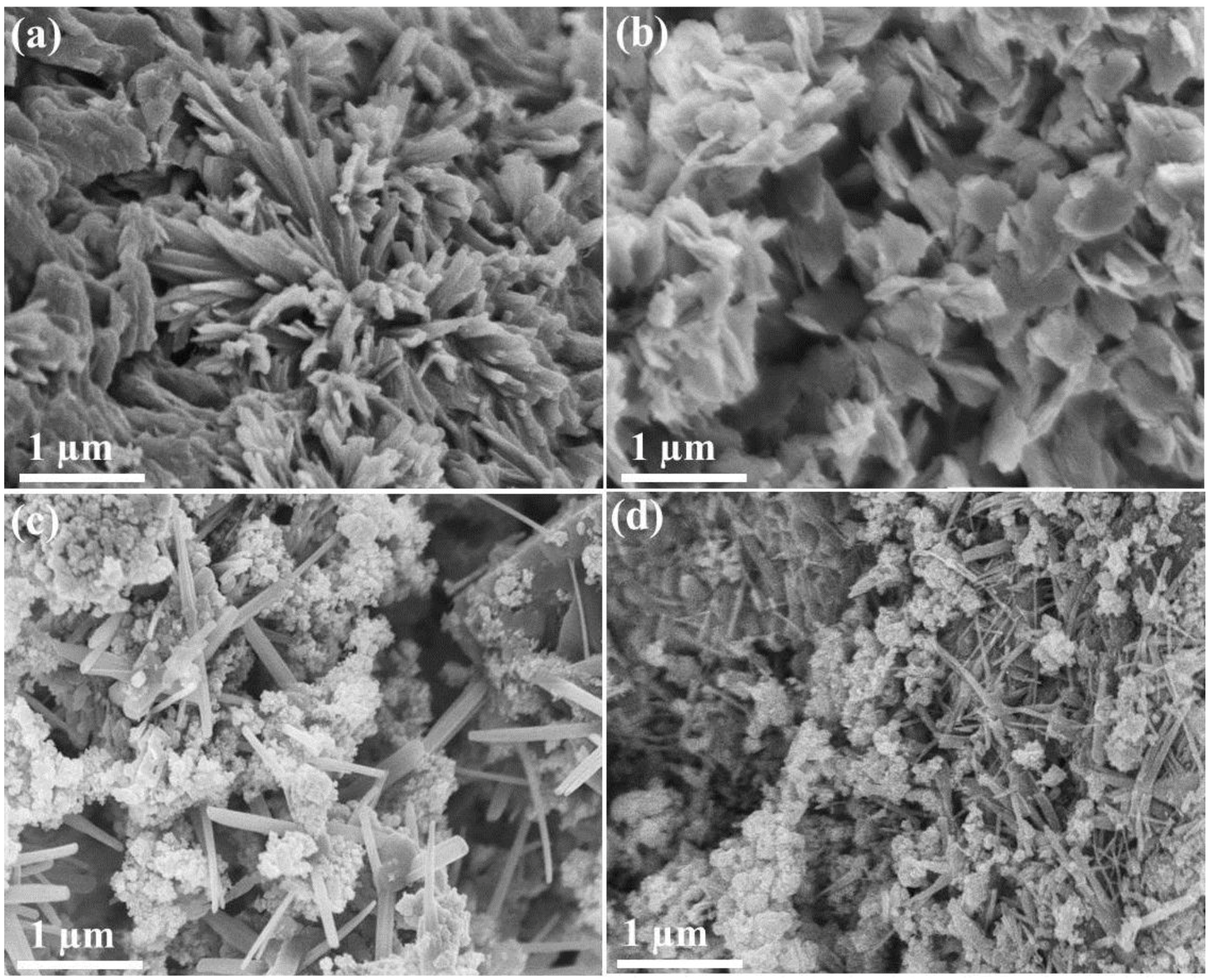 Nanomaterials 06 00042 g005