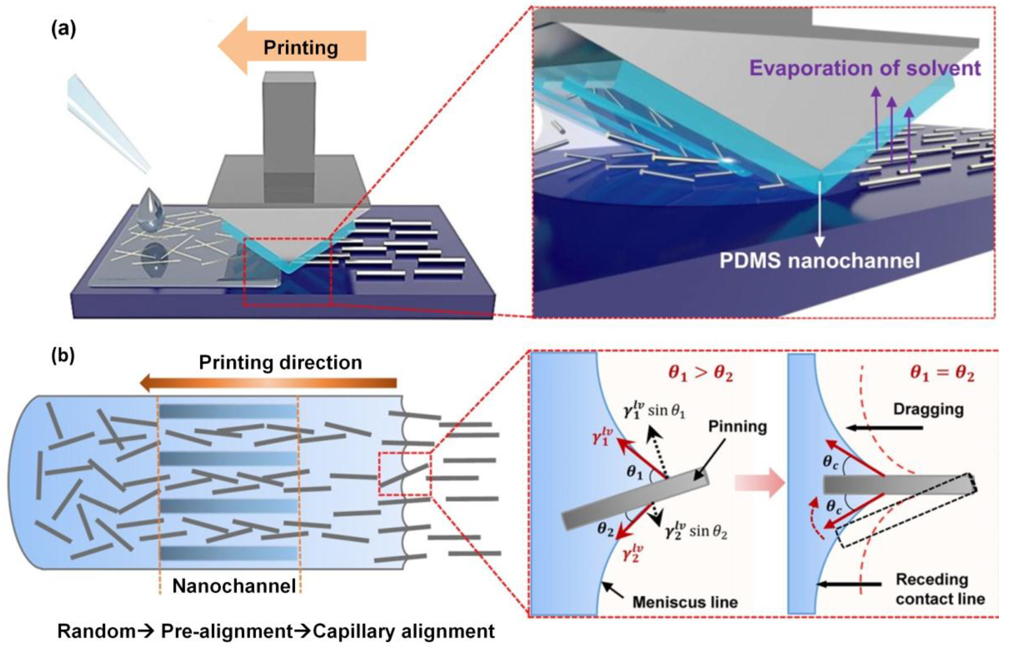 Nanomaterials 06 00047 g005