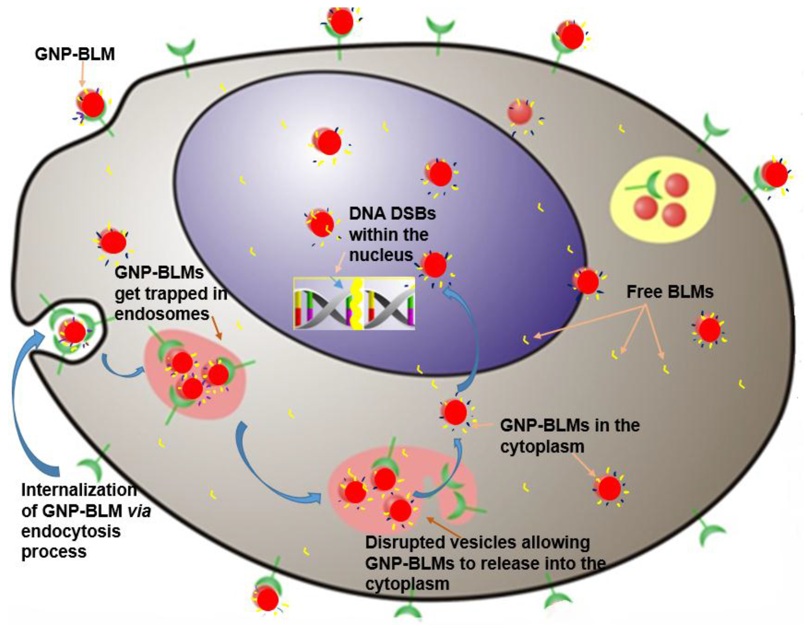 Nanomaterials 06 00048 g006