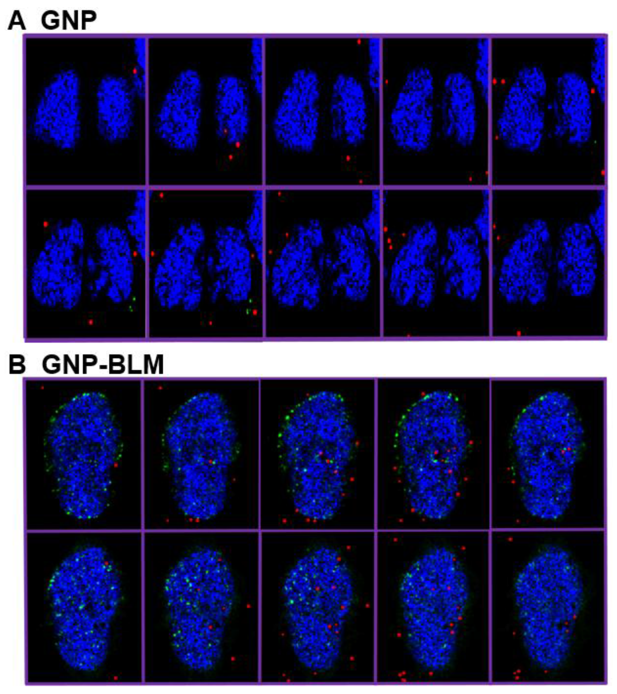 Nanomaterials 06 00048 g008