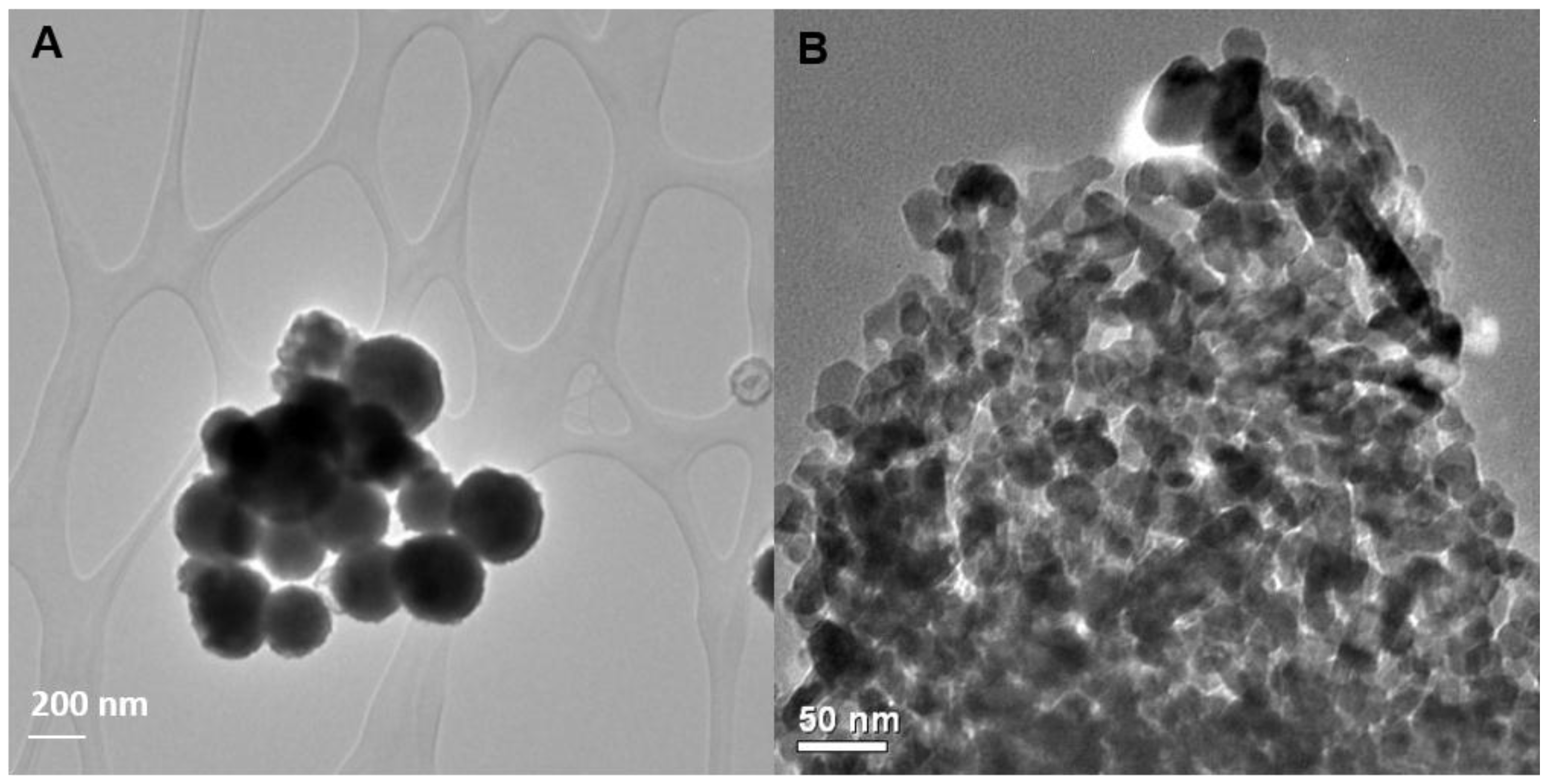 Nanomaterials 06 00050 g001 1024