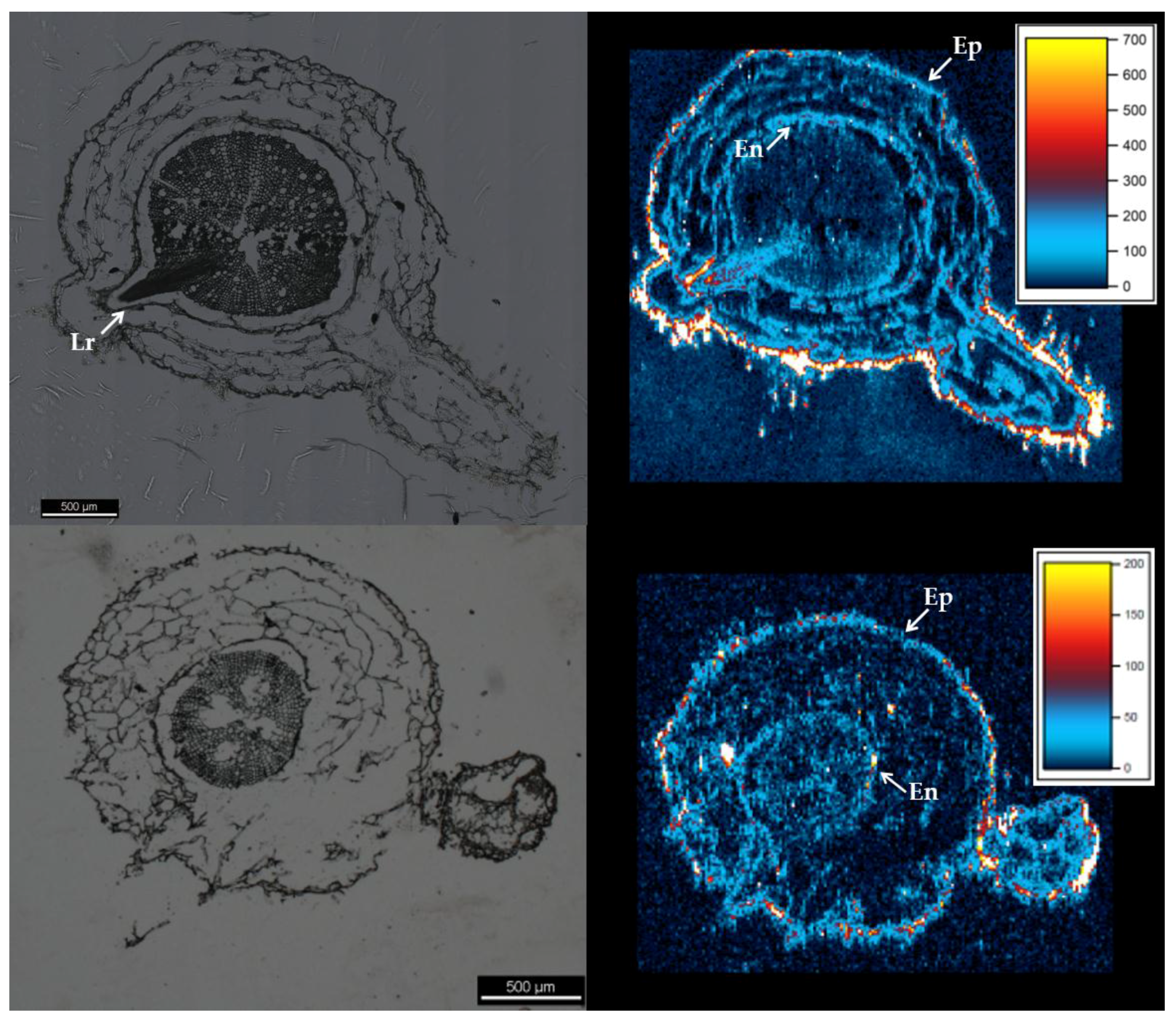 Nanomaterials 06 00068 g002