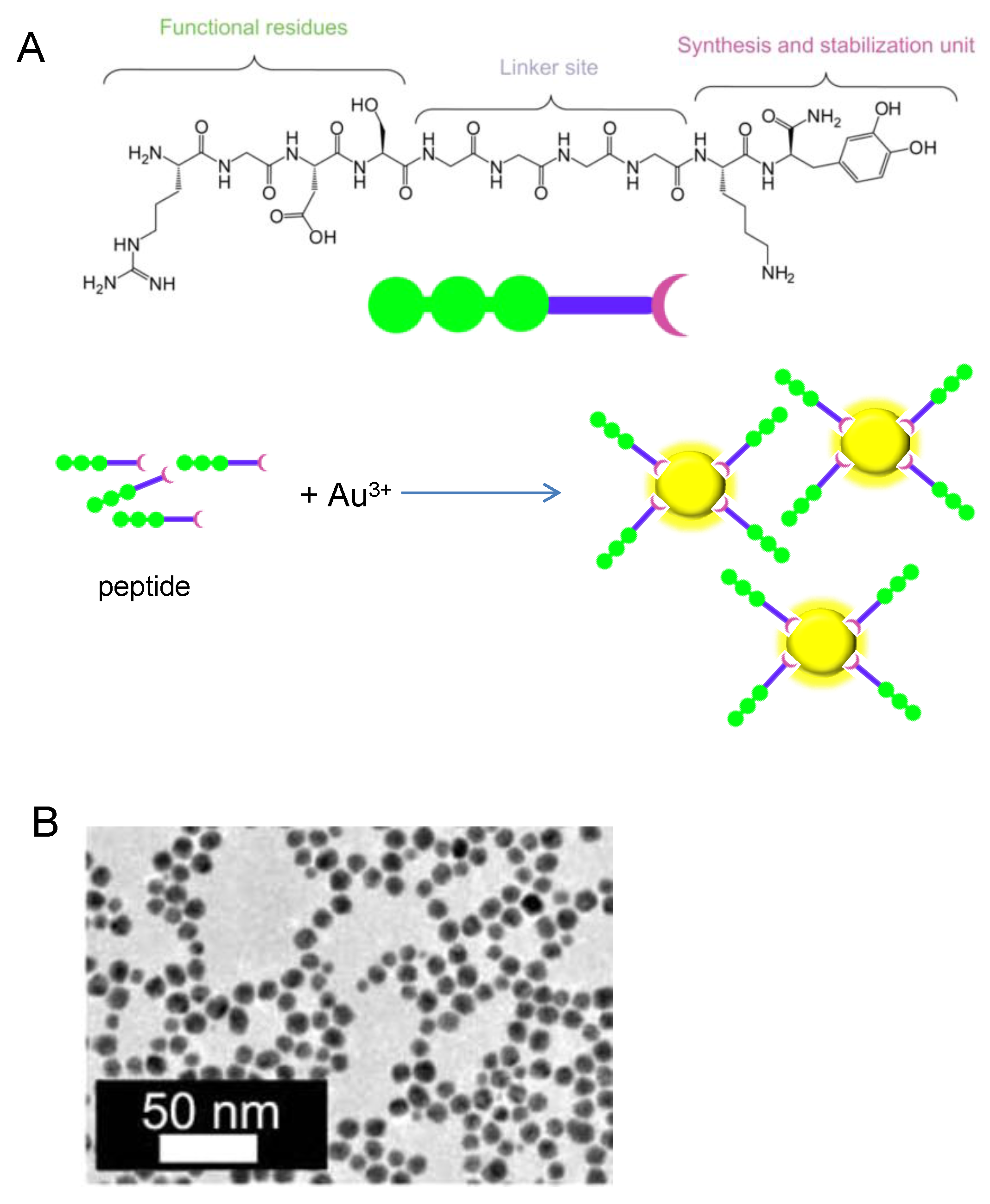 Nanomaterials 06 00084 g007