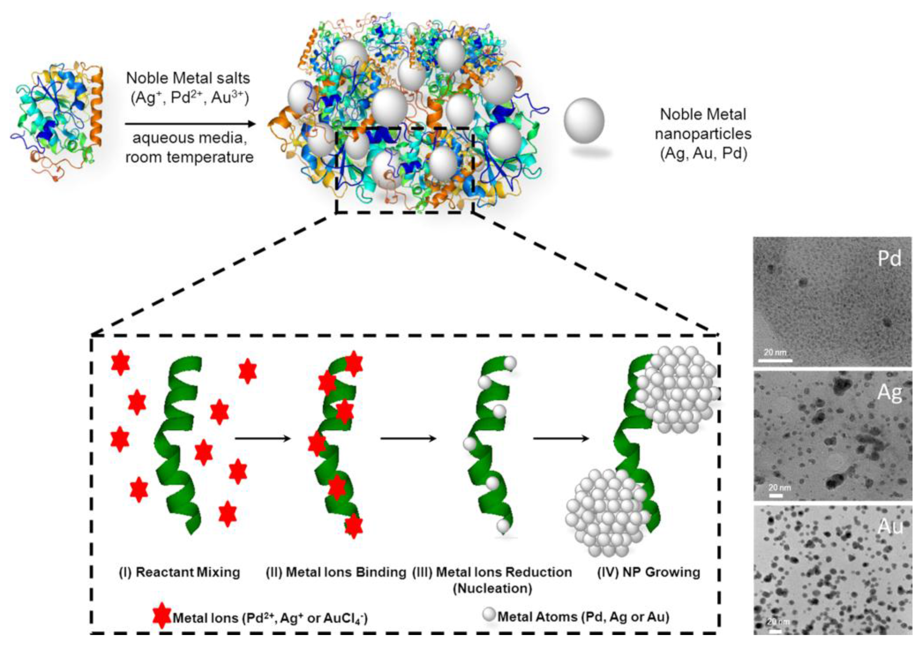 Nanomaterials 06 00084 g009