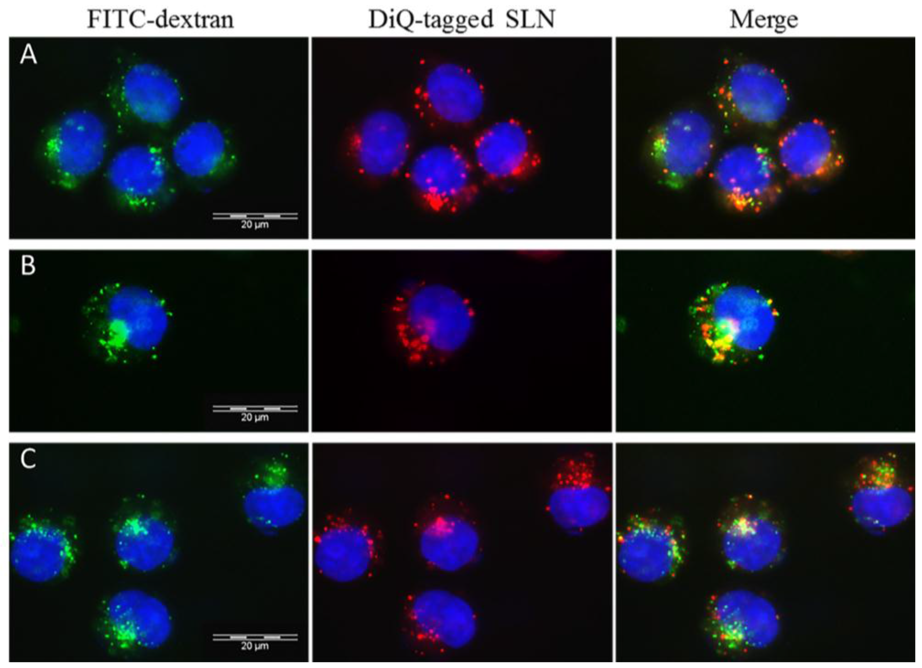 Nanomaterials 06 00087 g008