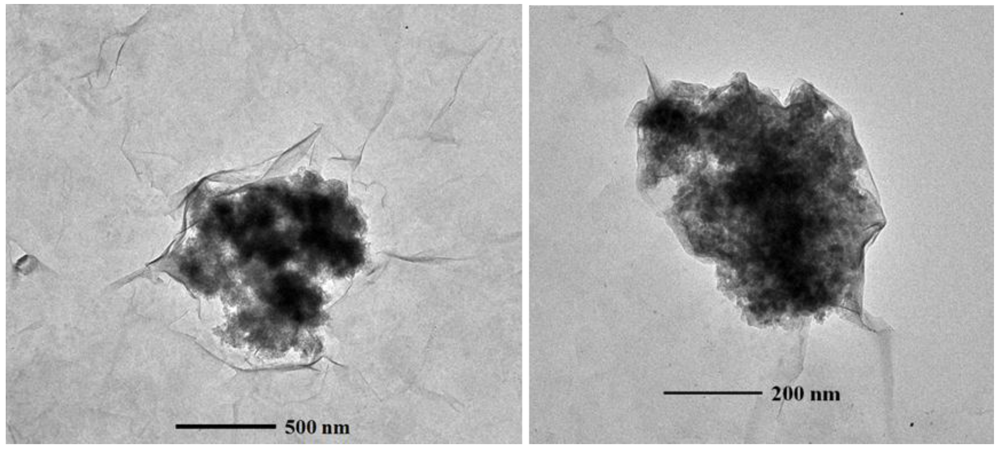 Nanomaterials 06 00090 g007 1024