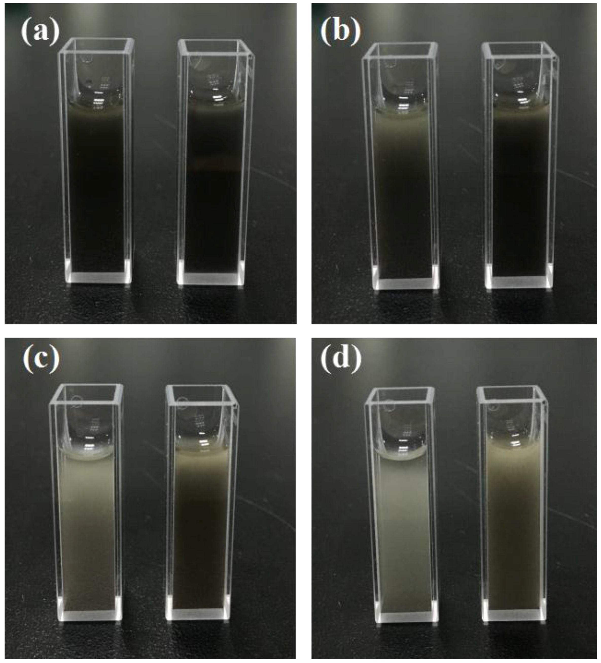 Nanomaterials 06 00099 g006