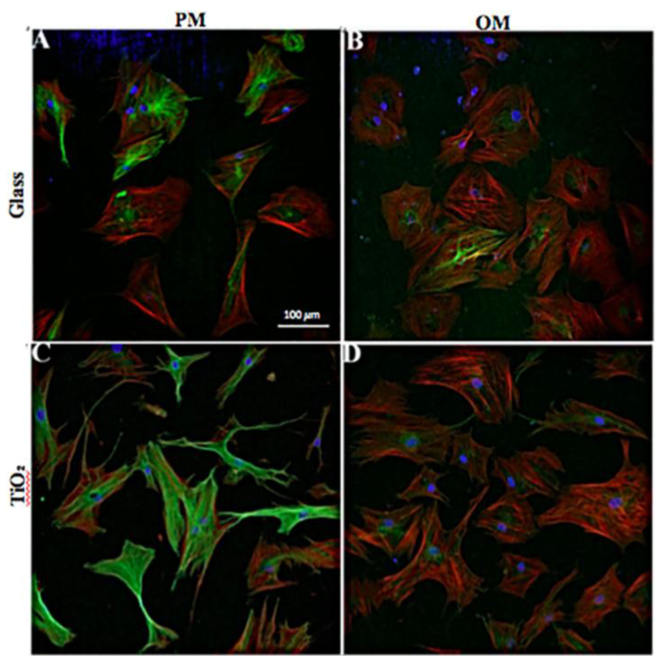 Nanomaterials 06 00124 g003