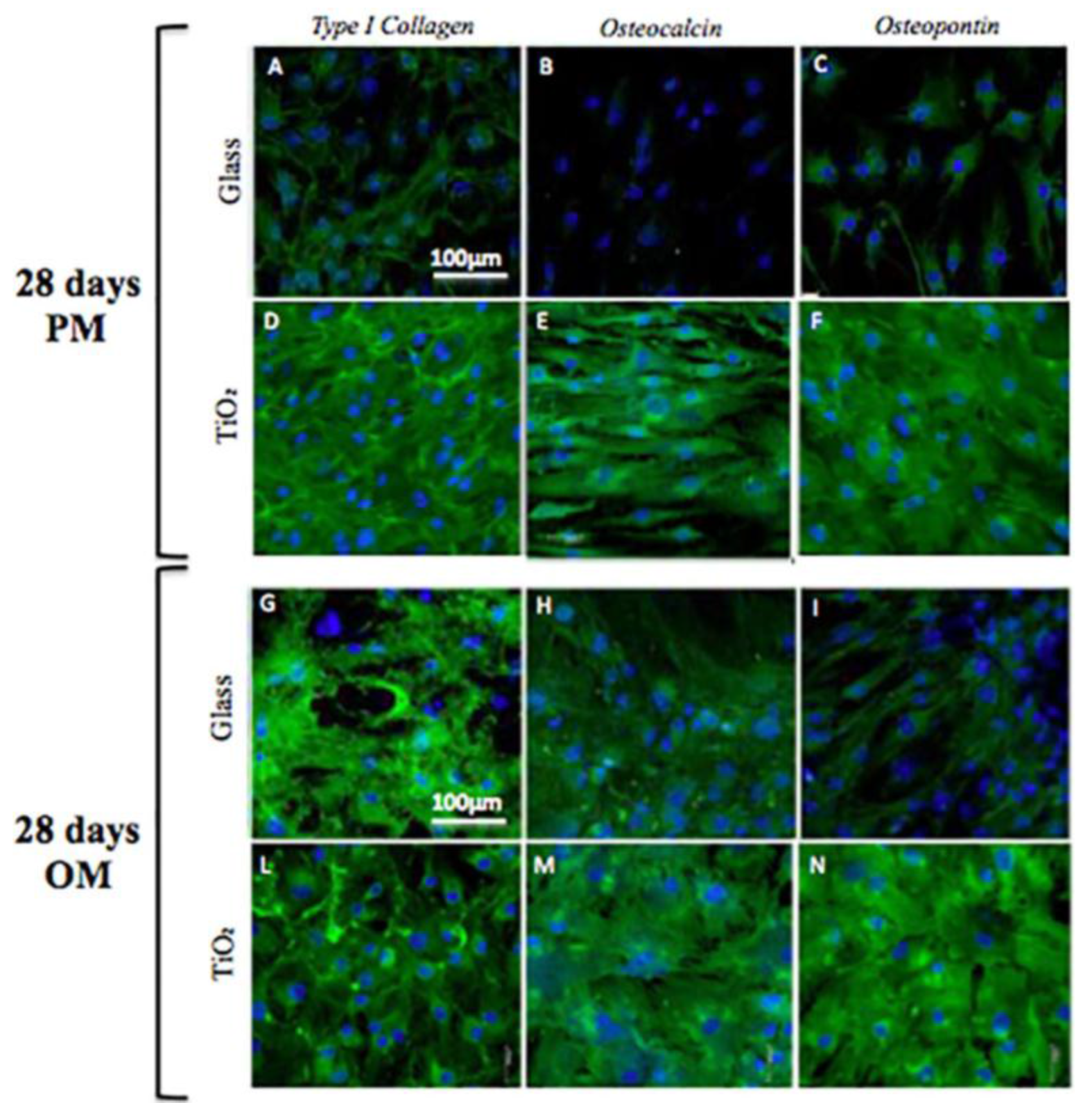 Nanomaterials 06 00124 g005