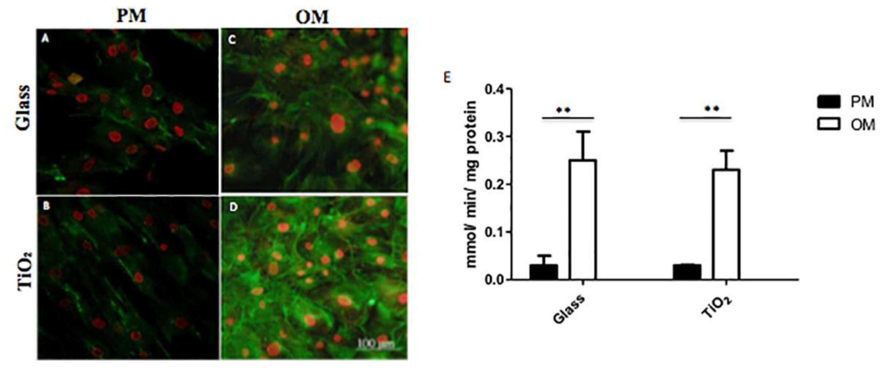 Nanomaterials 06 00124 g006