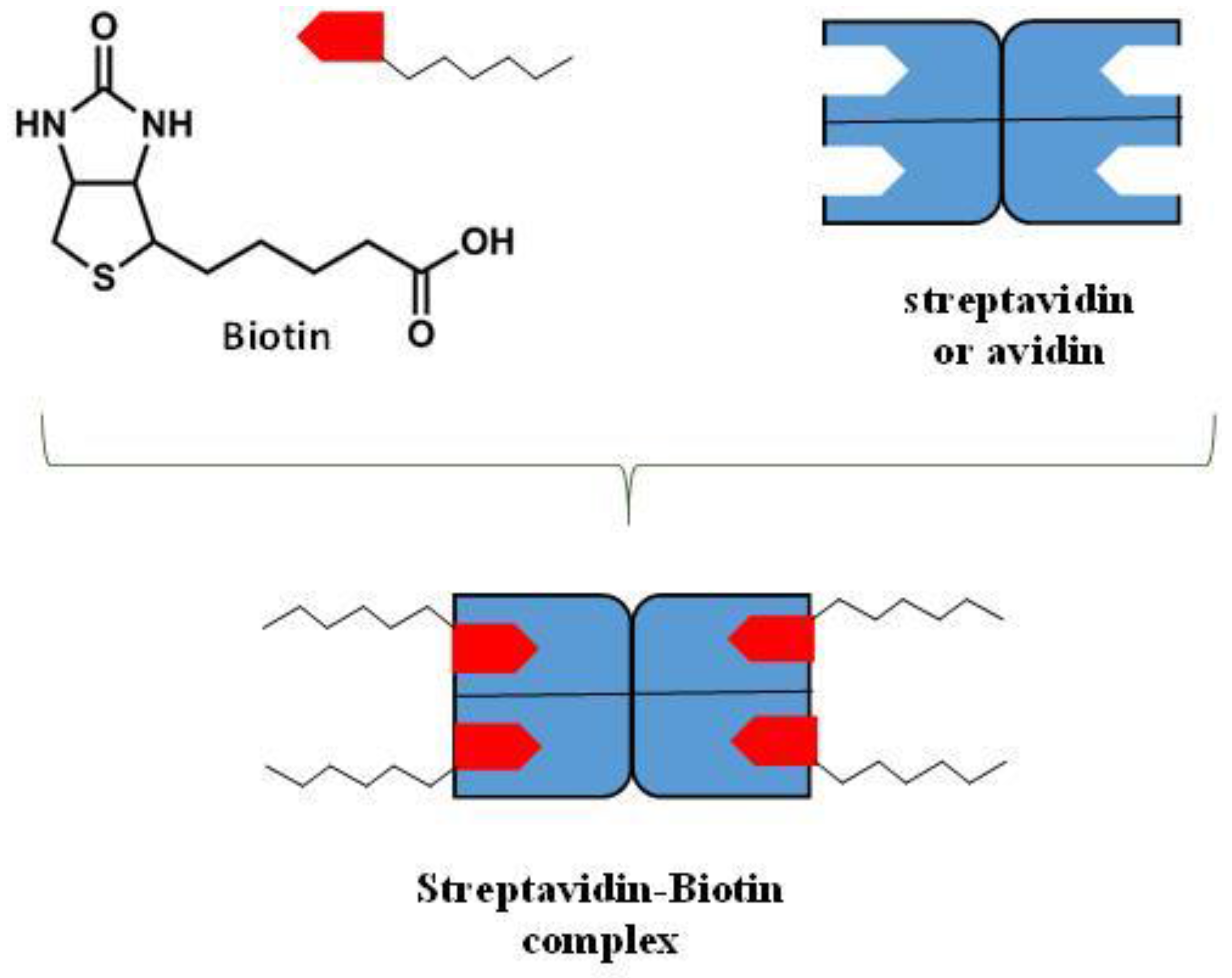 Nanomaterials 06 00125 g007 1024