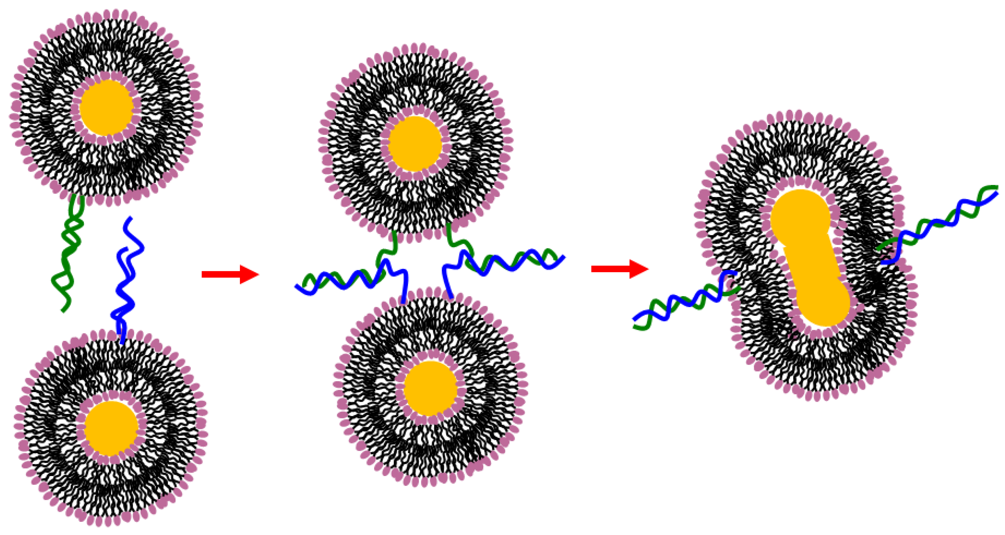 Nanomaterials 06 00125 g009 1024