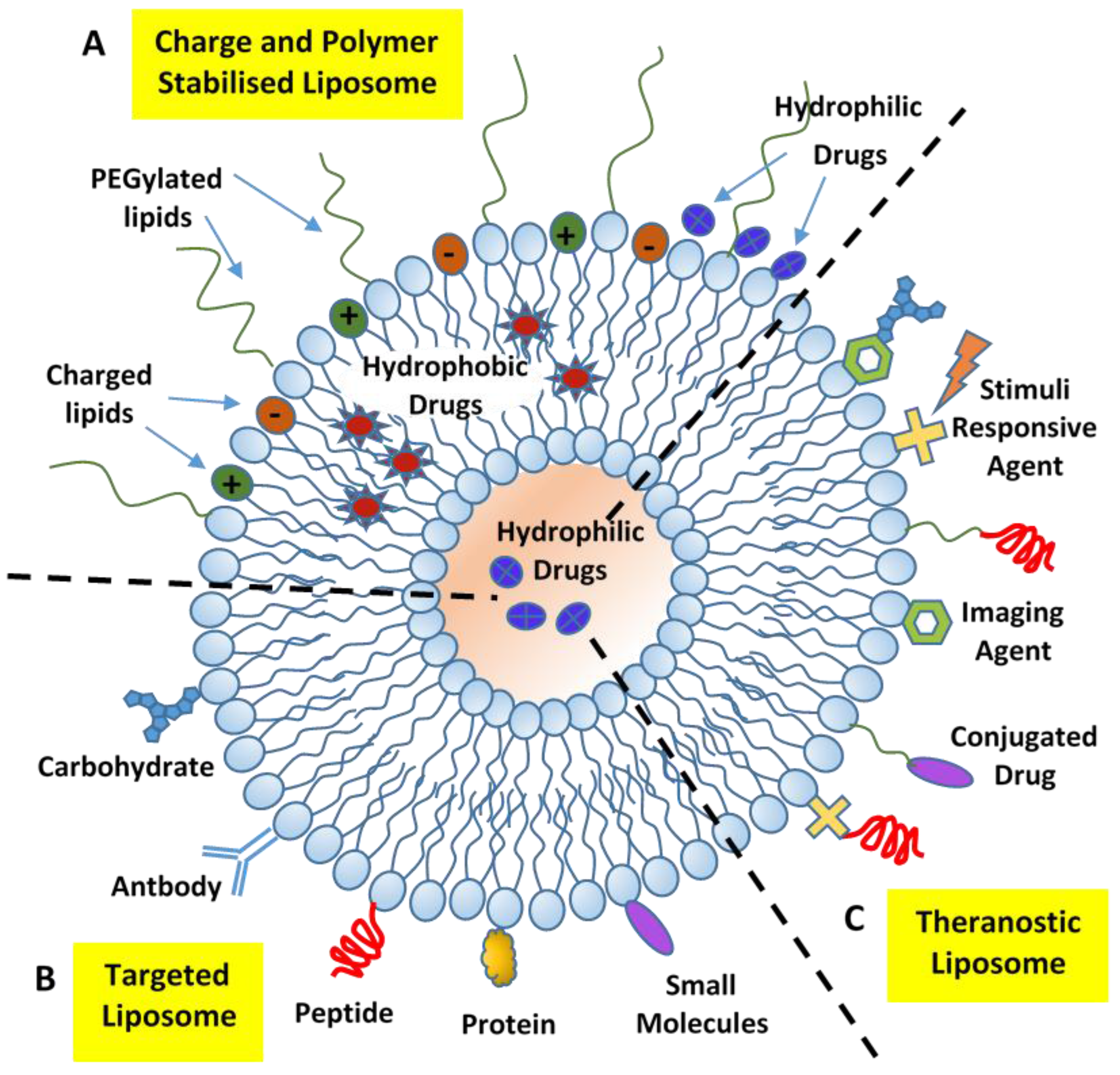 Nanomaterials Free FullText Soft Interaction in Liposome