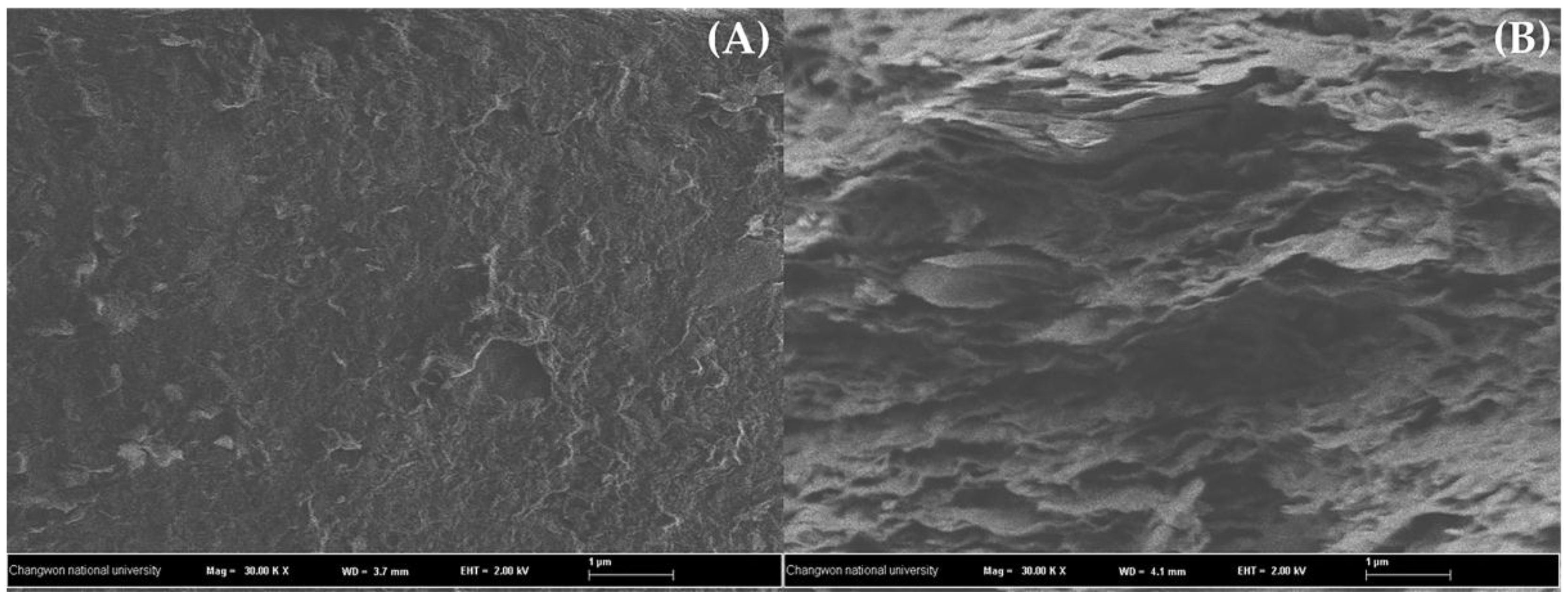 Nanomaterials 06 00128 g008