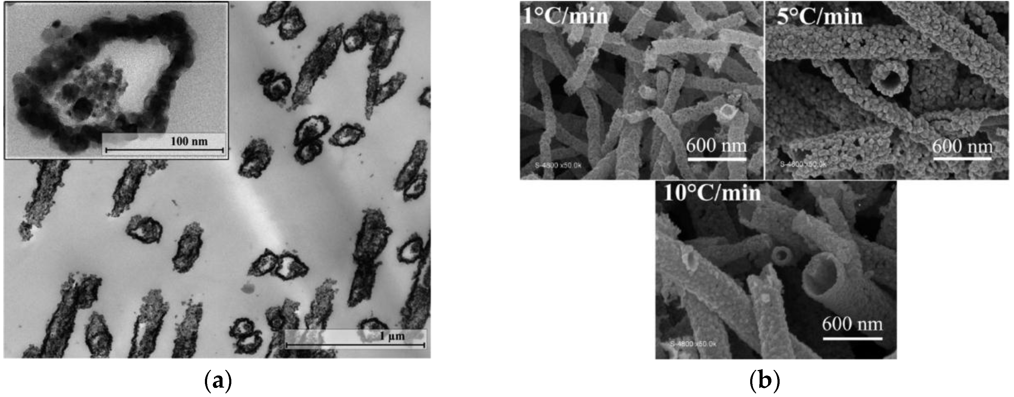 Nanomaterials 06 00129 g006