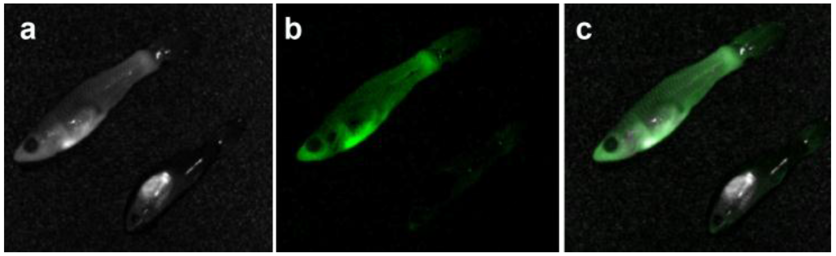 Nanomaterials 06 00130 g009
