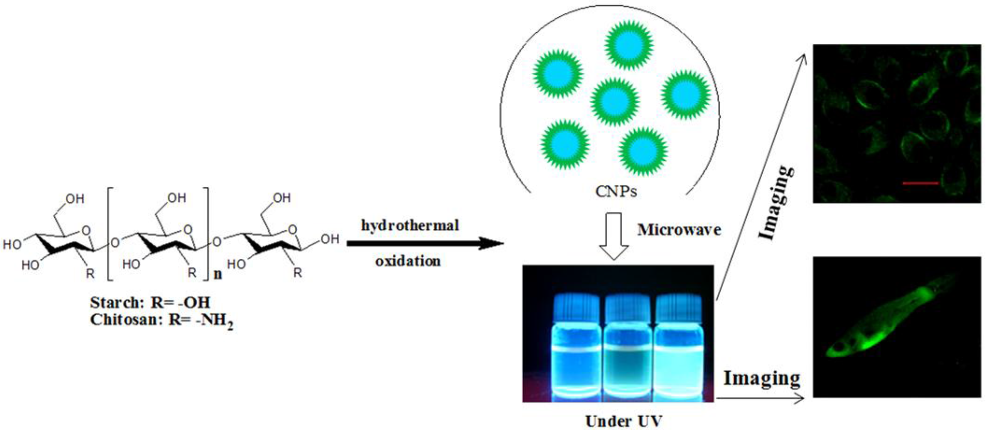 Nanomaterials 06 00130 sch001