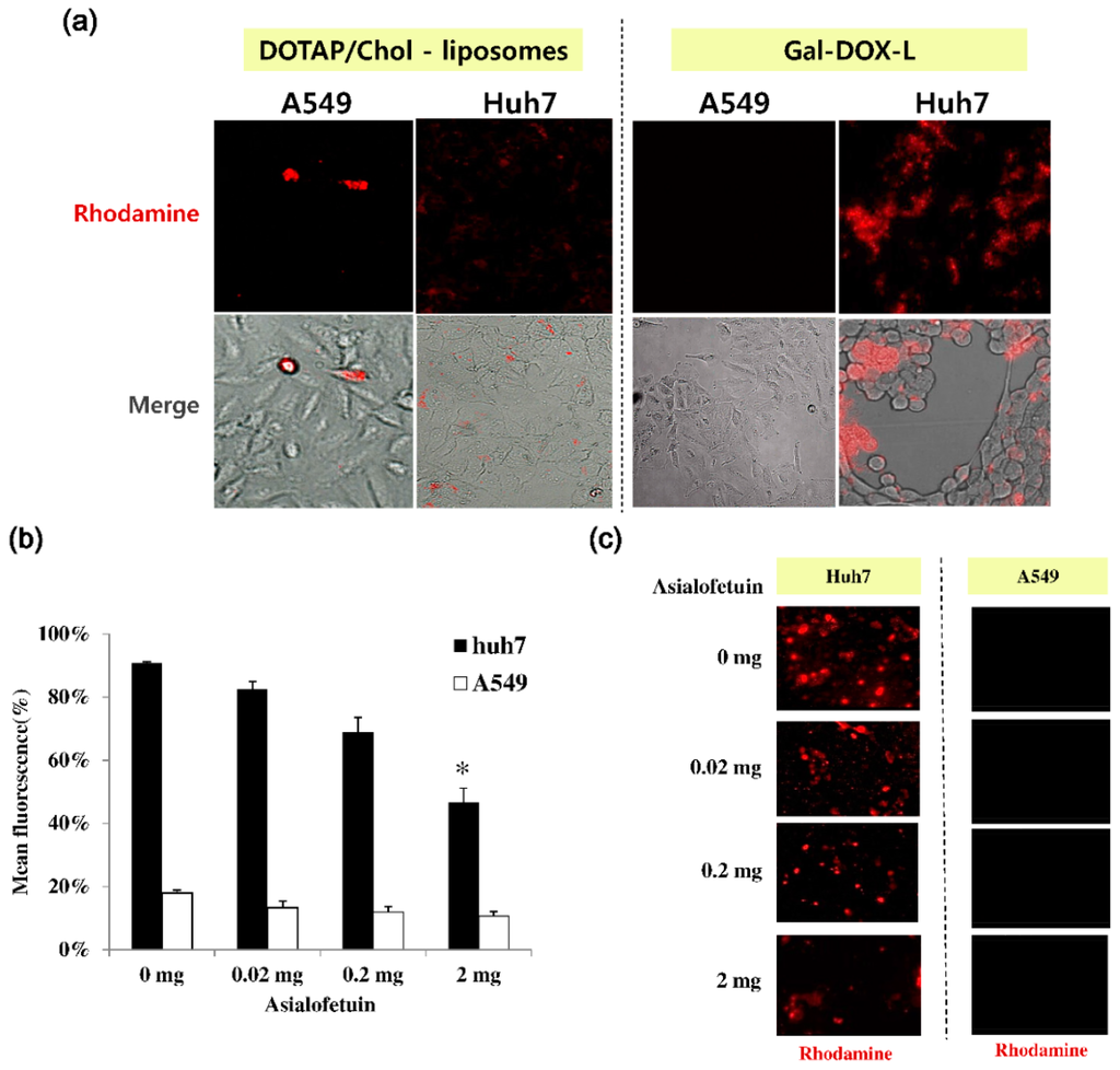 Nanomaterials 06 00141 g002 1024