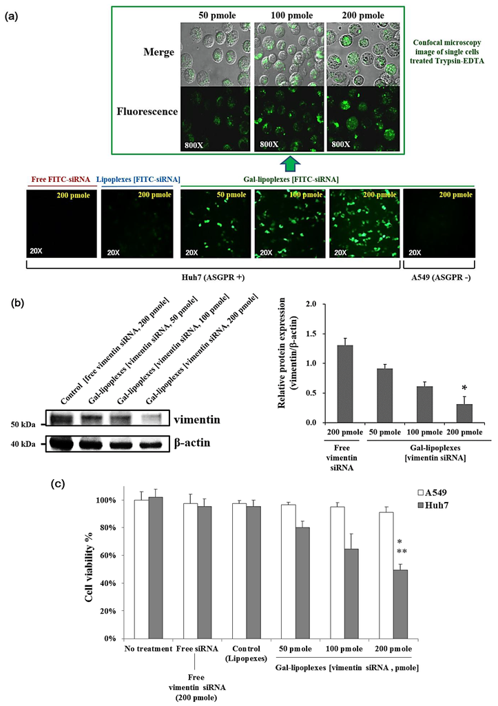 Nanomaterials 06 00141 g004 1024