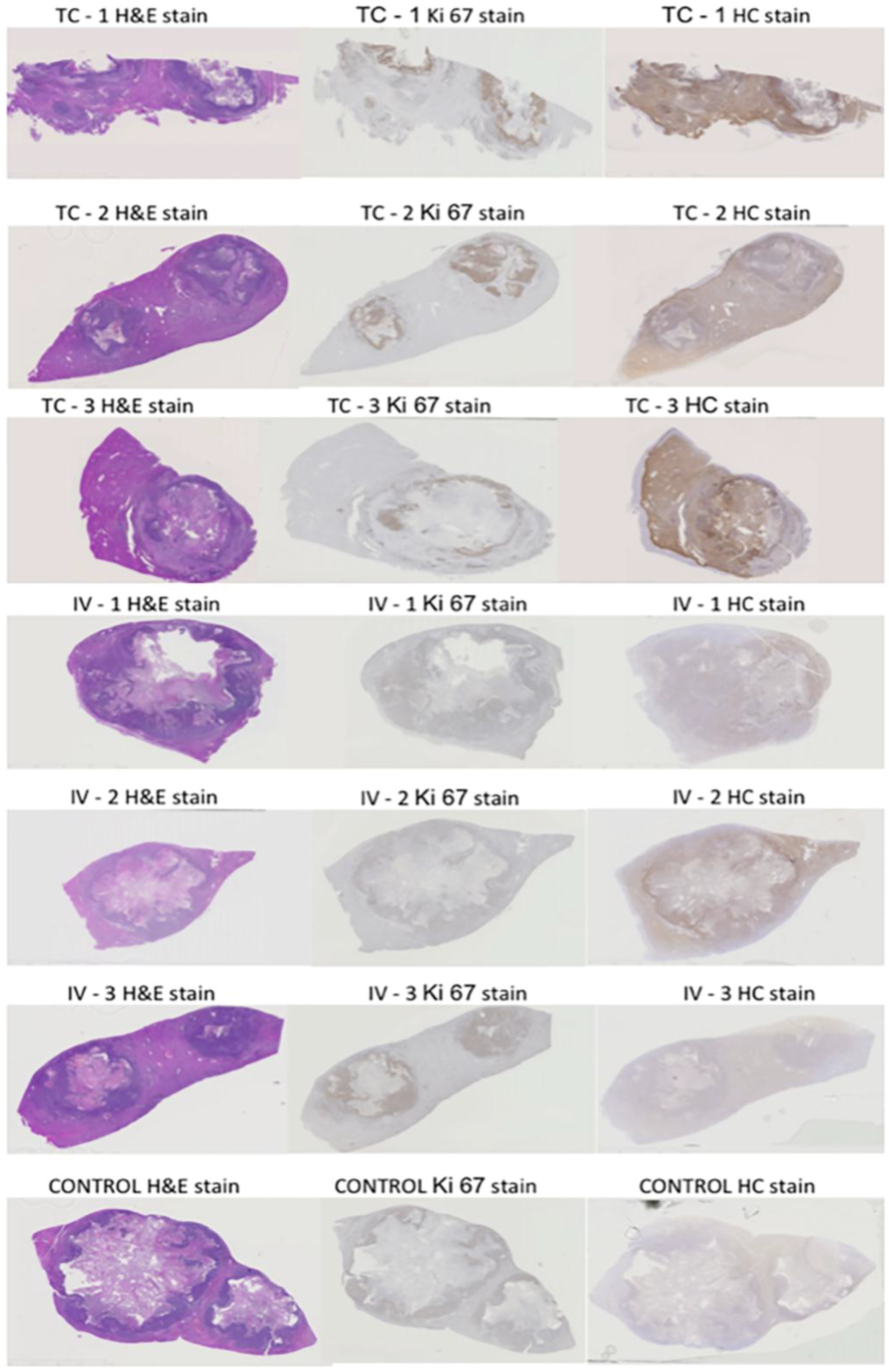 Nanomaterials 06 00143 g001 1024