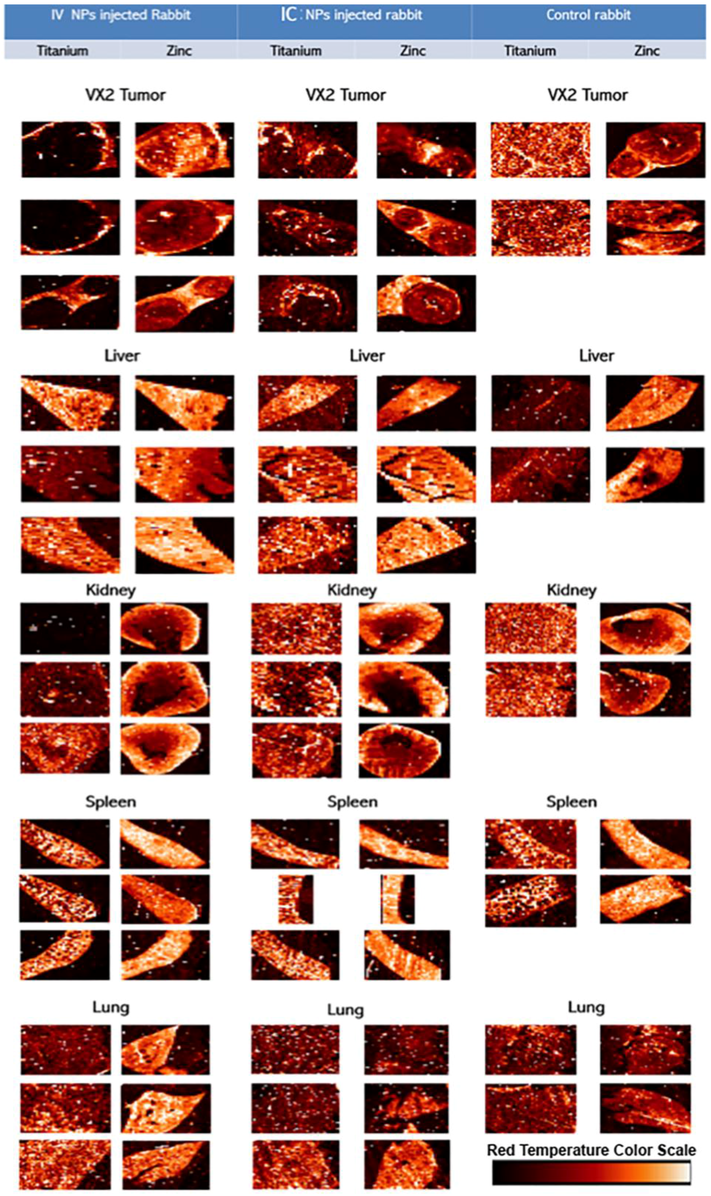 Nanomaterials 06 00143 g005 1024