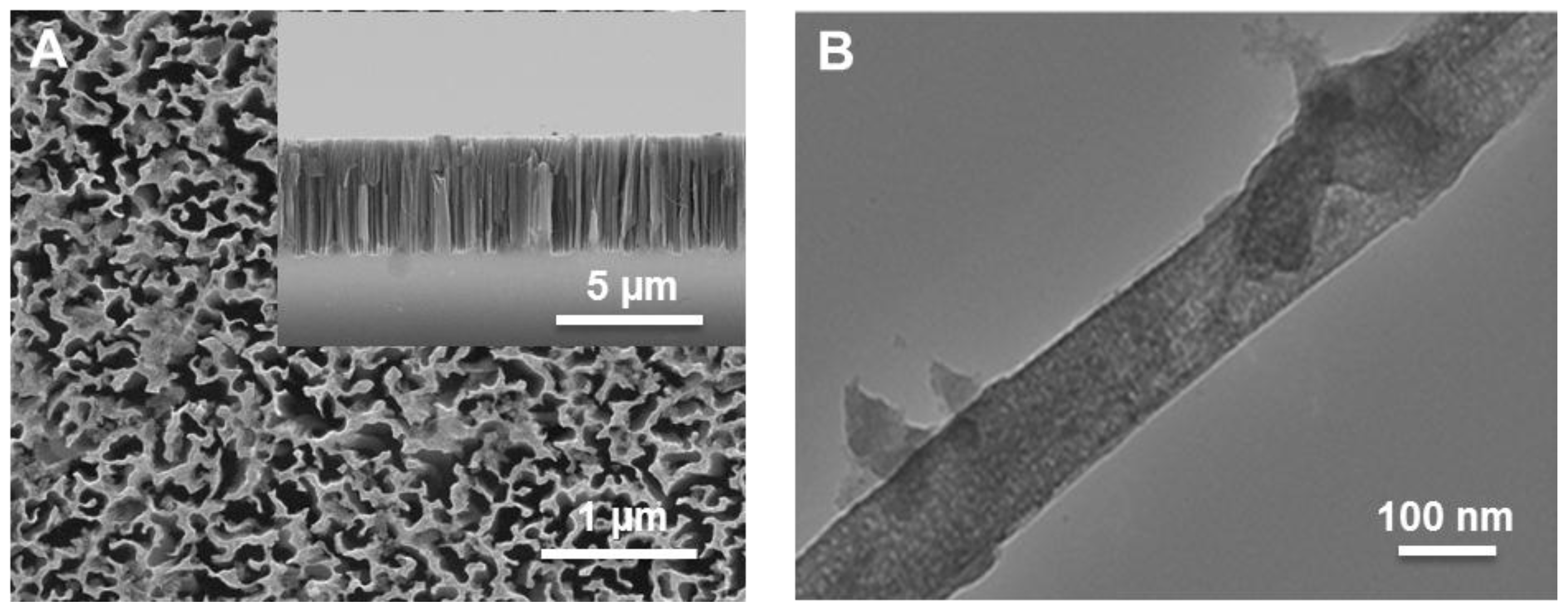 Nanomaterials 06 00144 g001