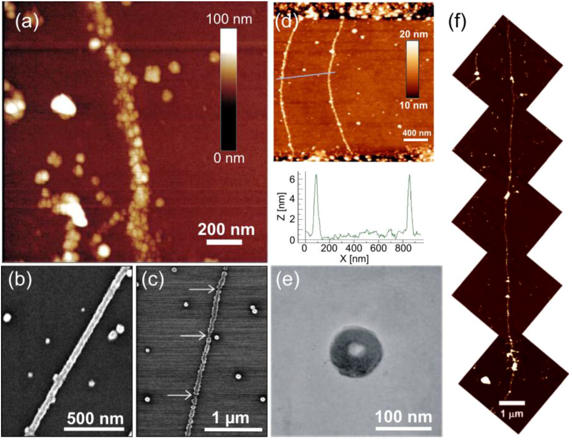 Nanomaterials 06 00146 g001