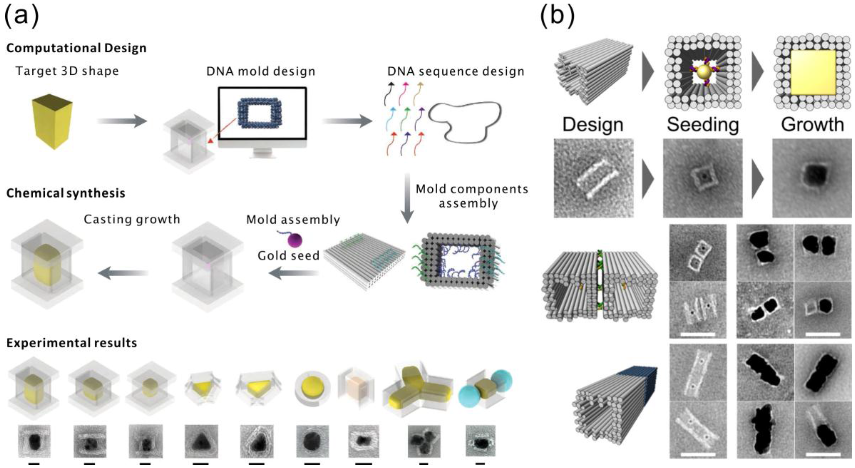 Nanomaterials 06 00146 g005
