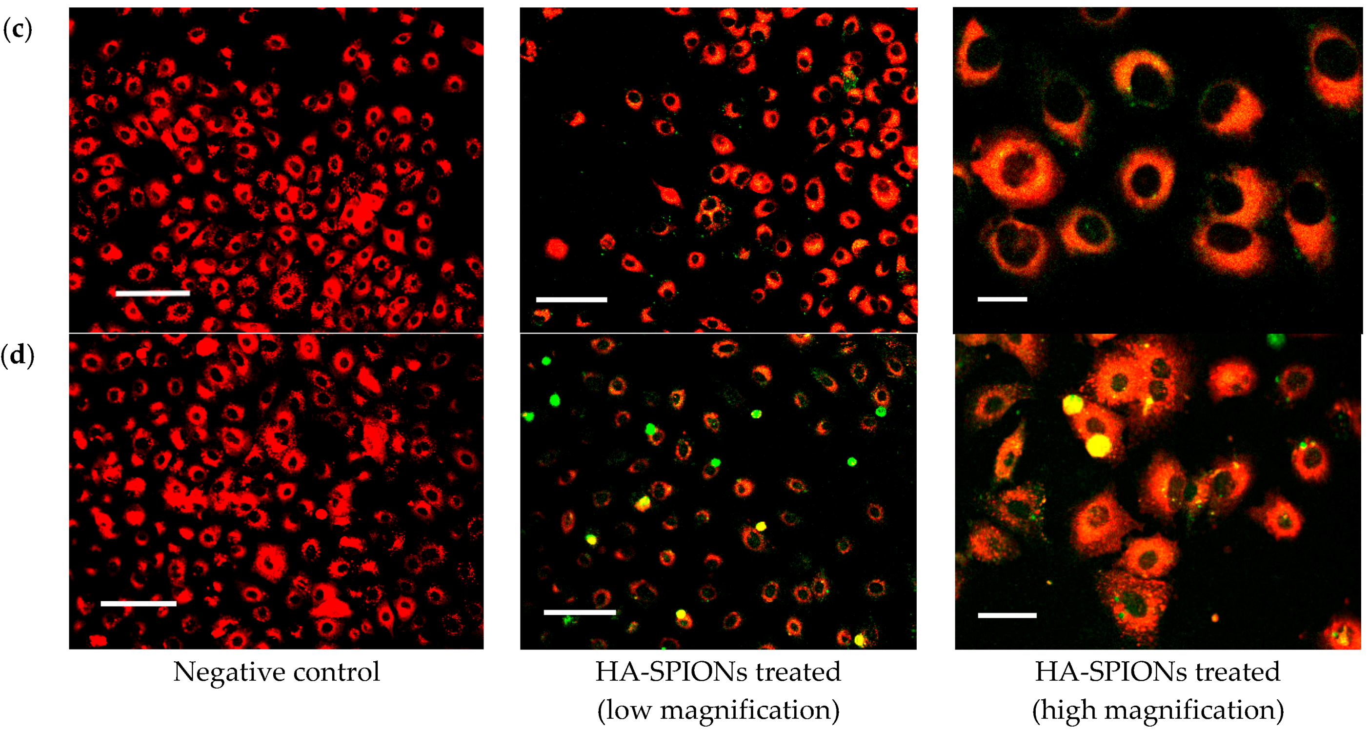 Nanomaterials 06 00149 g006b 1024