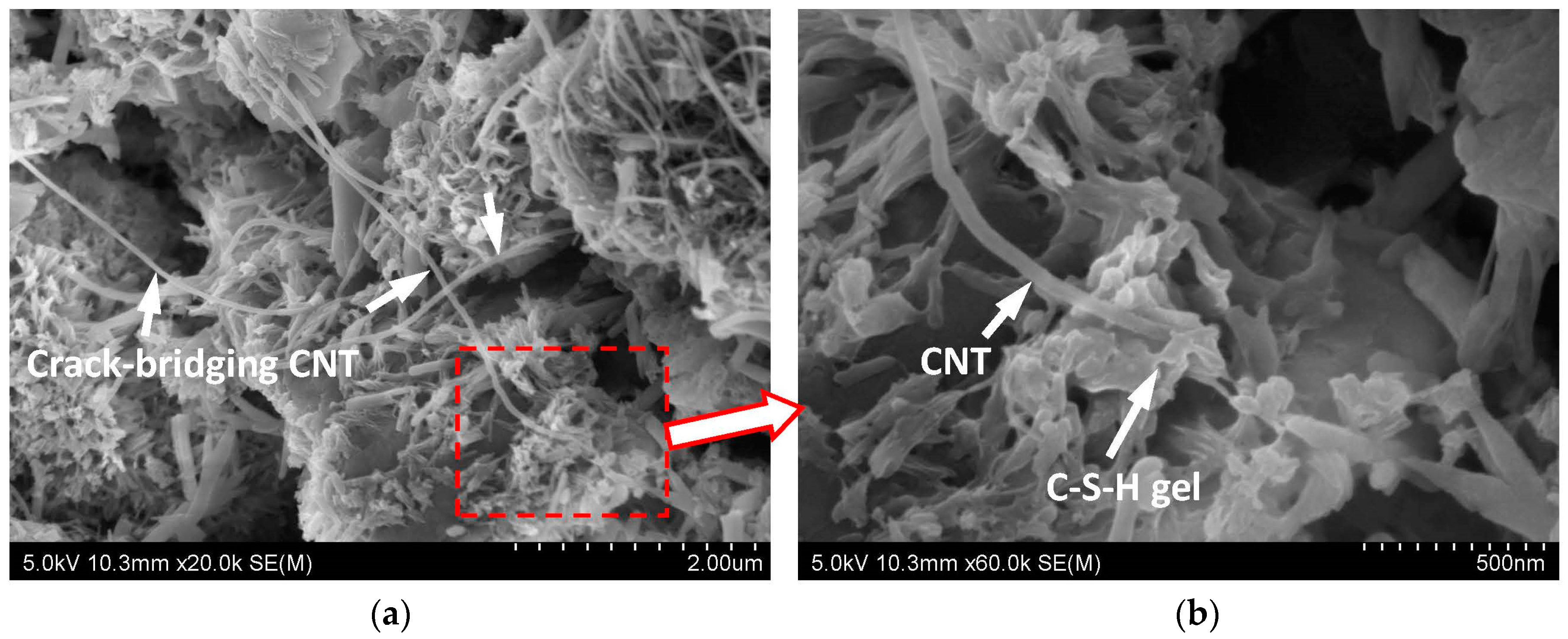 Nanomaterials 06 00153 g001