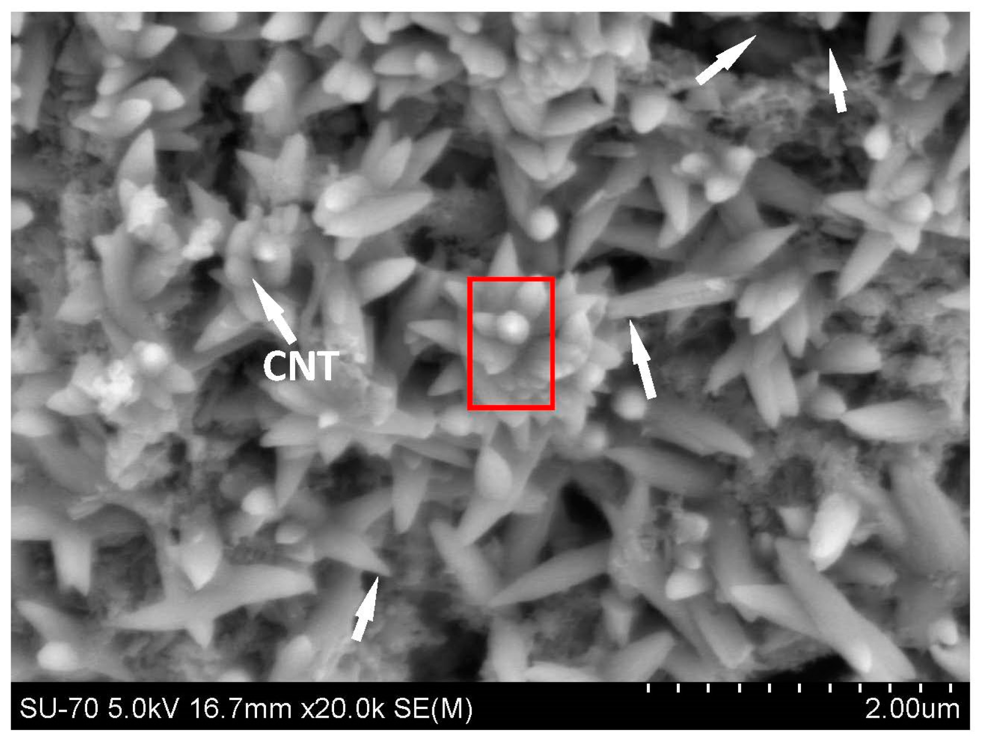 Nanomaterials 06 00153 g004