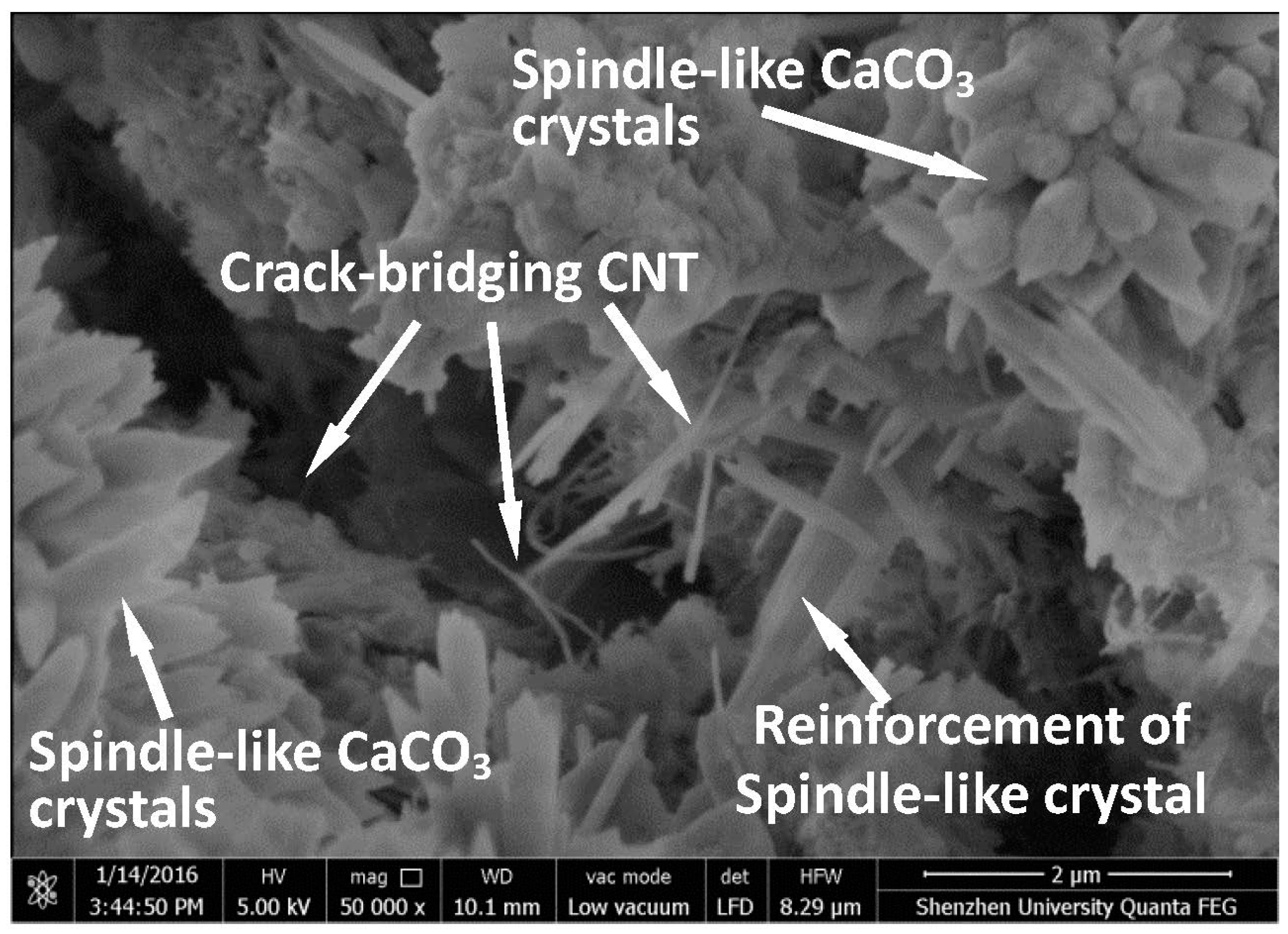 Nanomaterials 06 00153 g006